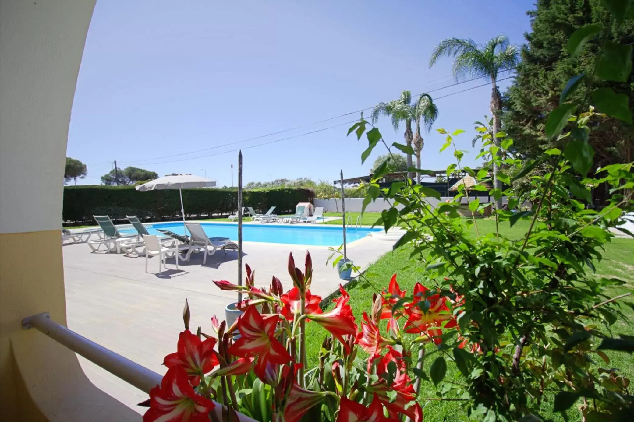 Swimming Pool in WOT Algarve