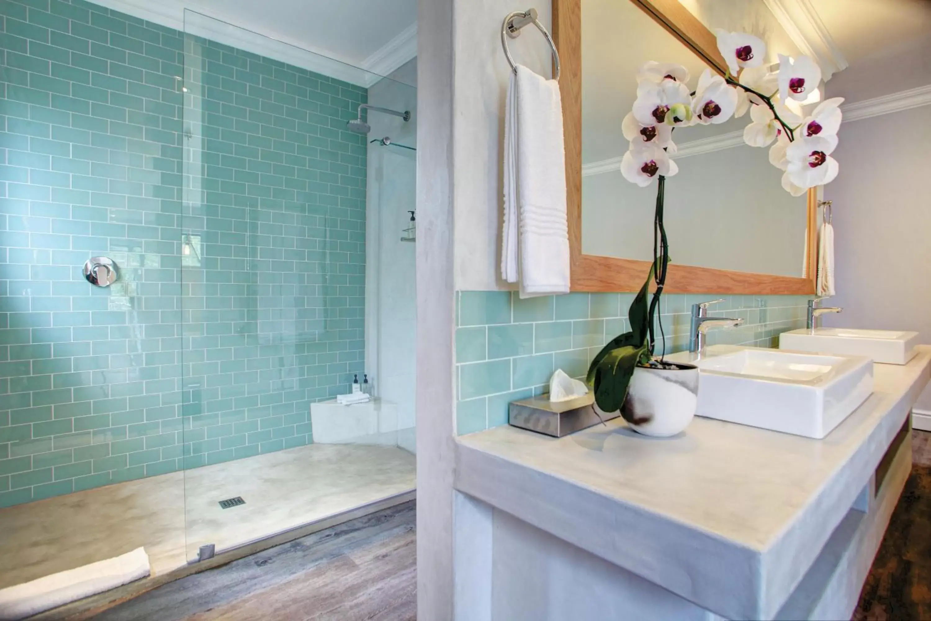 Shower, Coffee/Tea Facilities in Knysna Hollow Country Estate