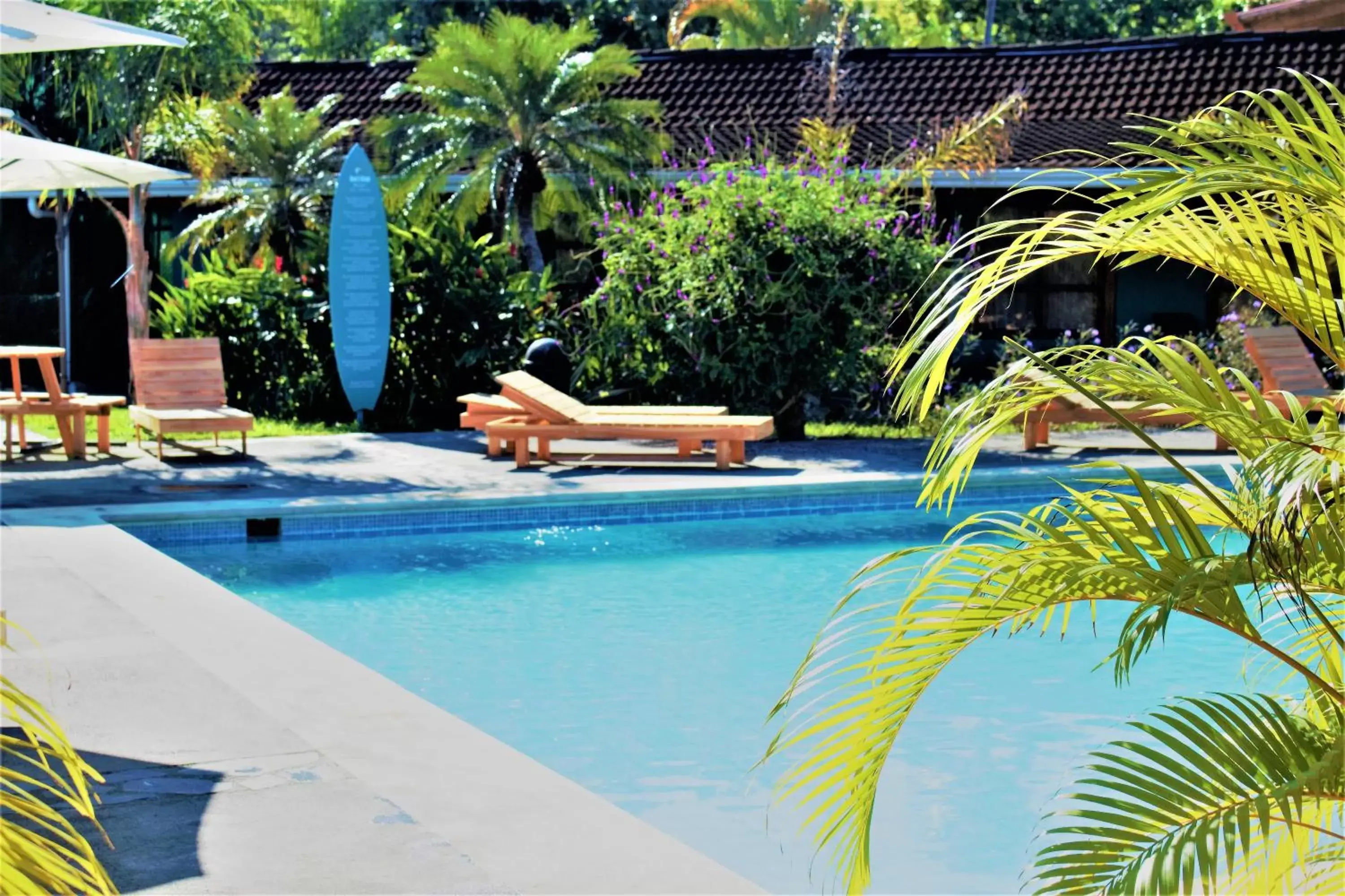 Pool view, Swimming Pool in Costa Rica Surf Camp by SUPERbrand