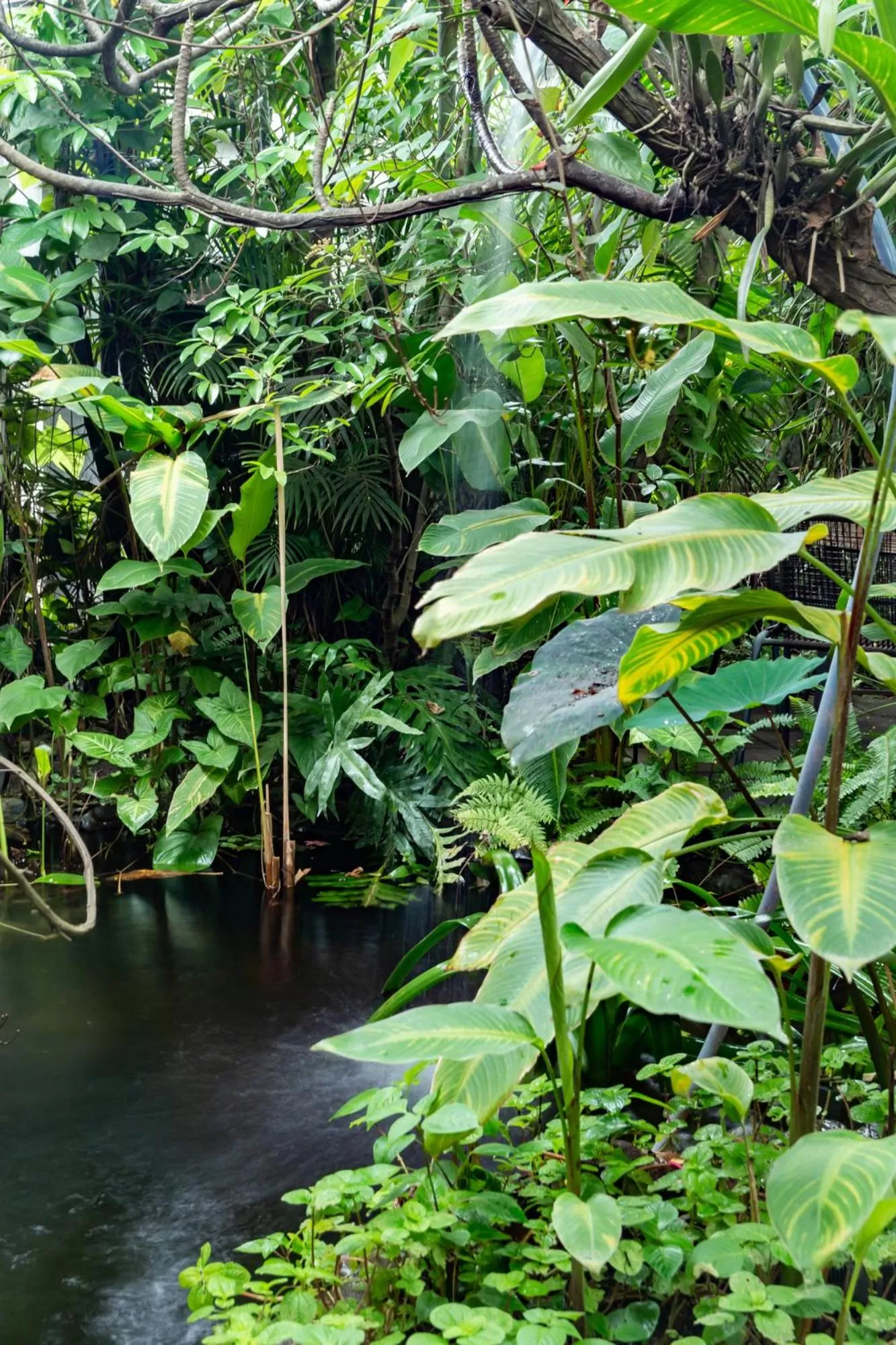 Restaurant/places to eat in Cinco Hotel B&B