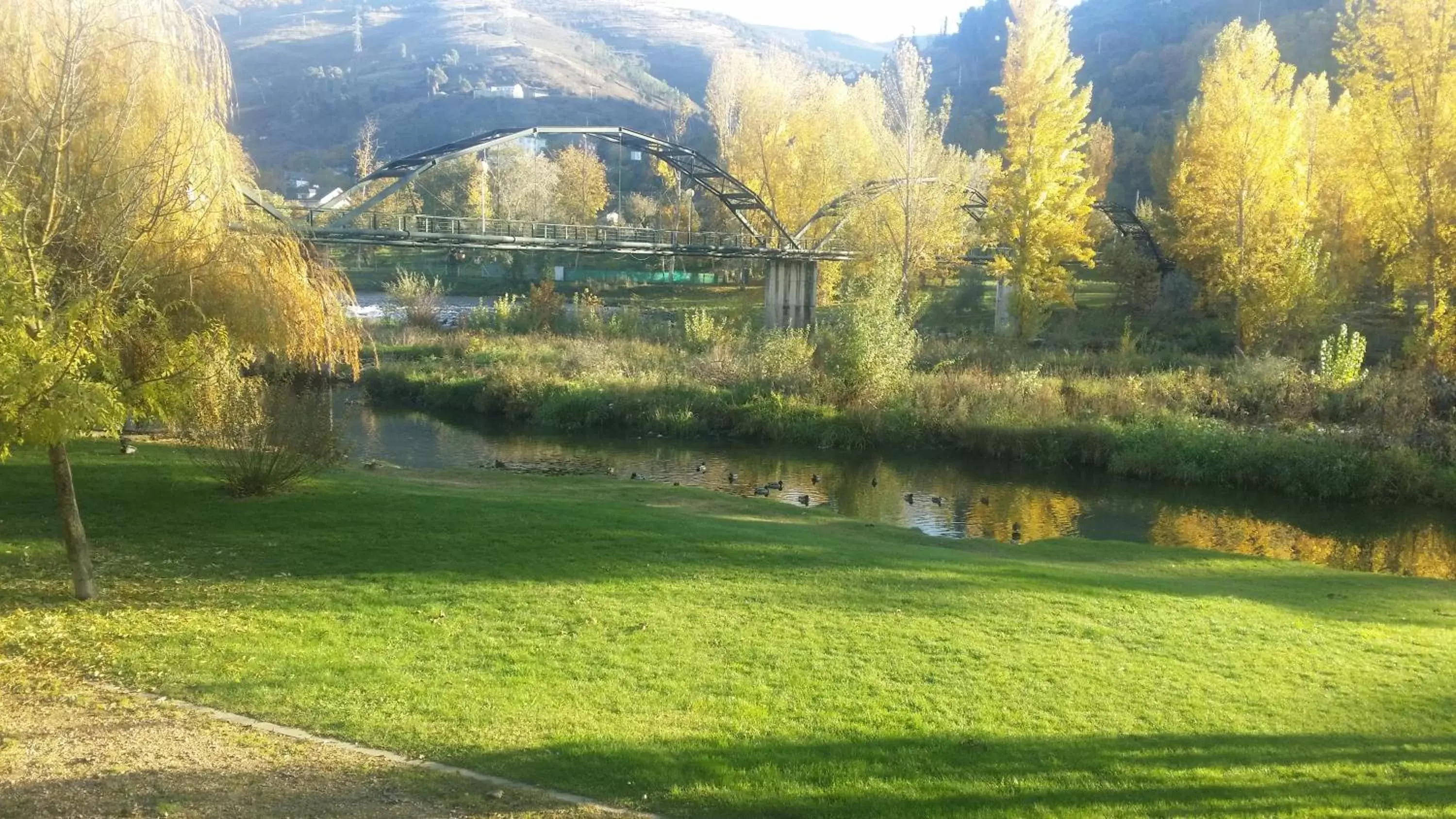 Natural landscape, Garden in Hotel Malecon