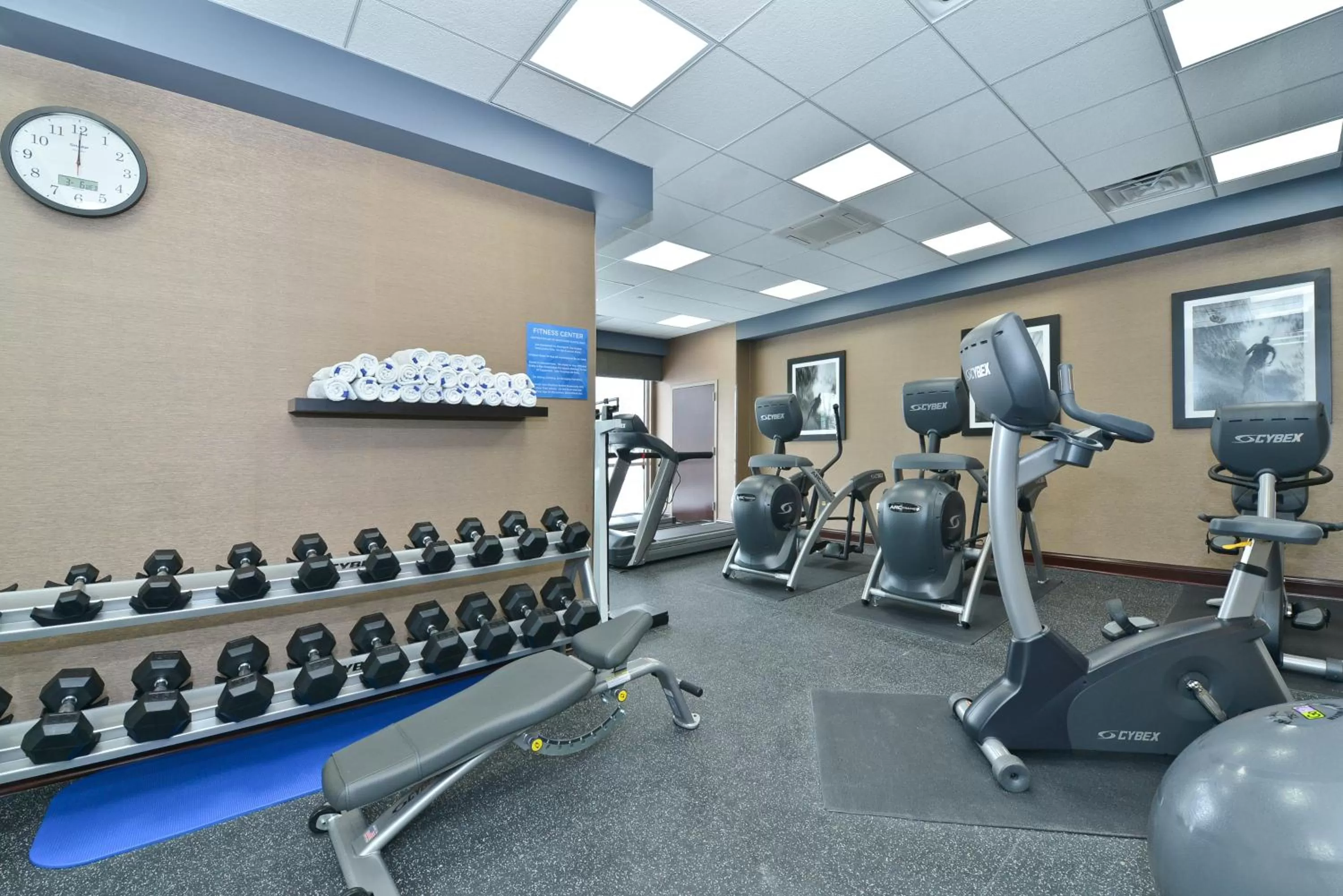 Fitness centre/facilities in Wyndham Garden Elk Grove Village - O'Hare