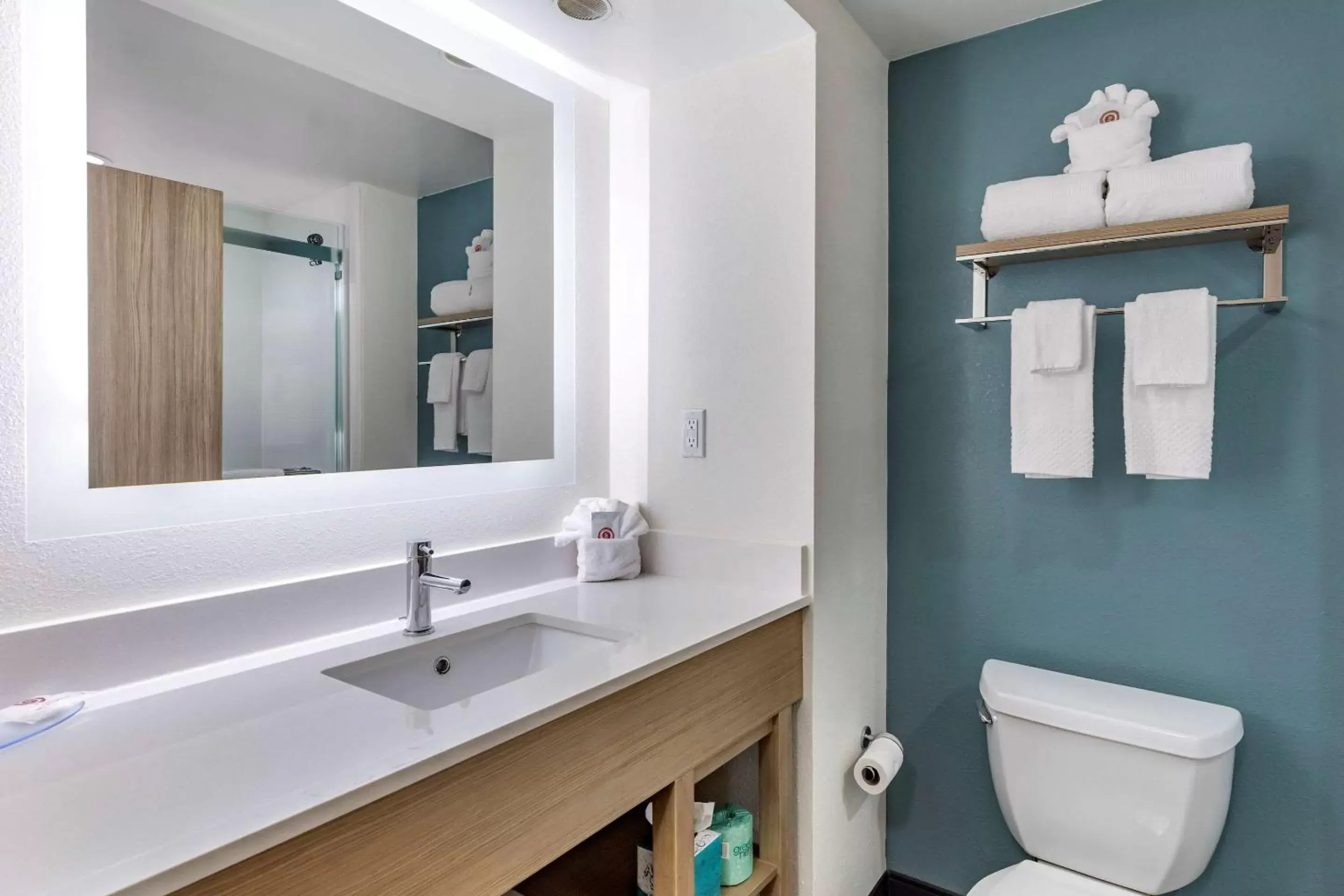 Bathroom in Comfort Suites Anderson-Clemson