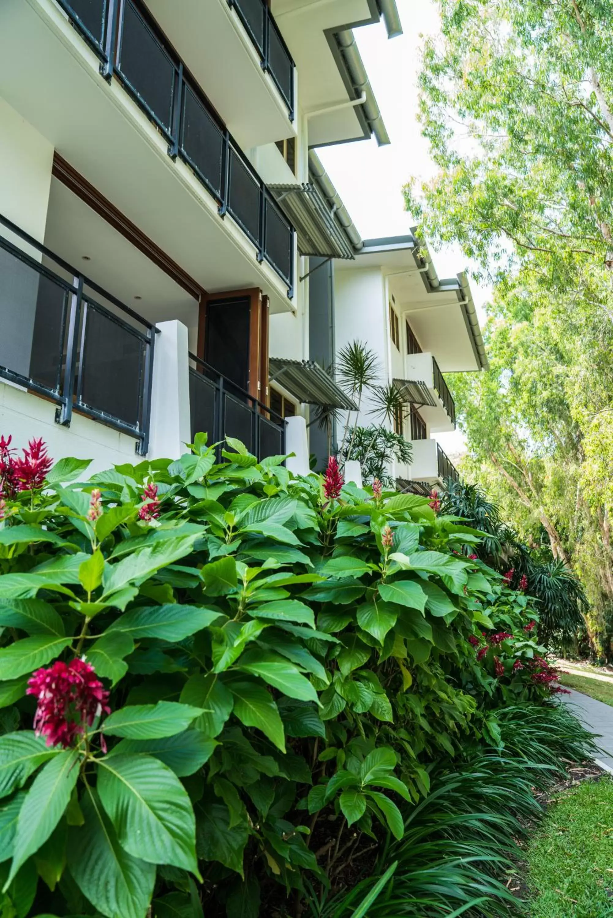 Garden view, Property Building in Sanctuary Palm Cove