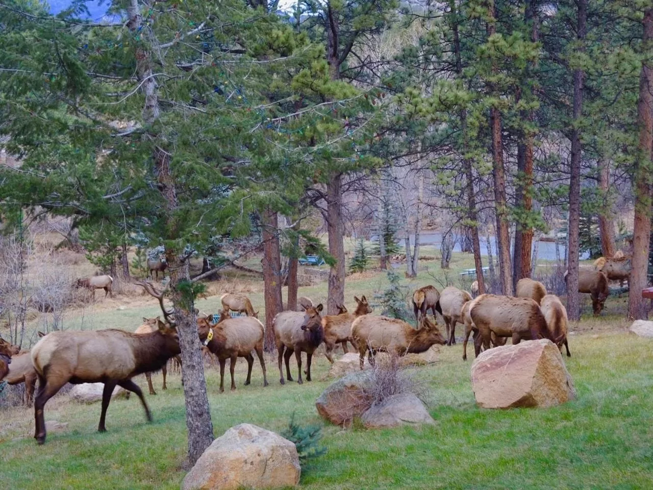 Riversong Inn Retreat