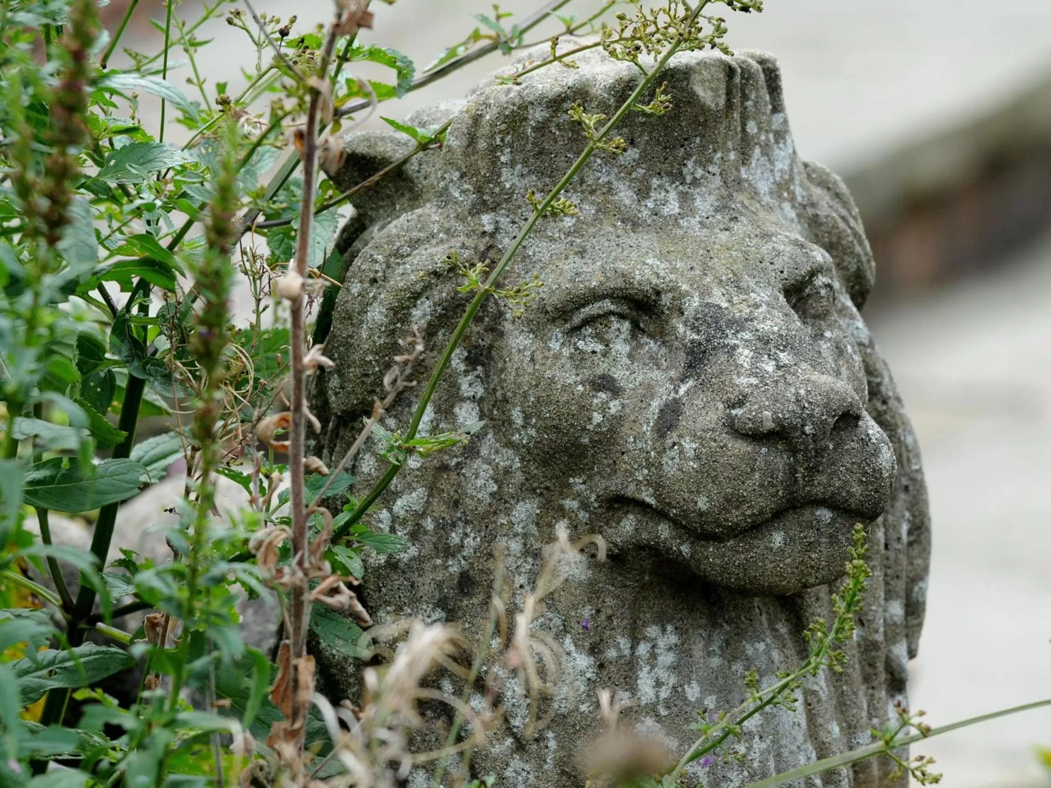 Decorative detail in Marygreen Manor