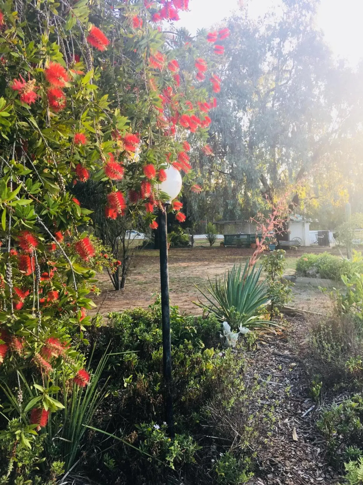 Property building, Garden in Azalea Motel