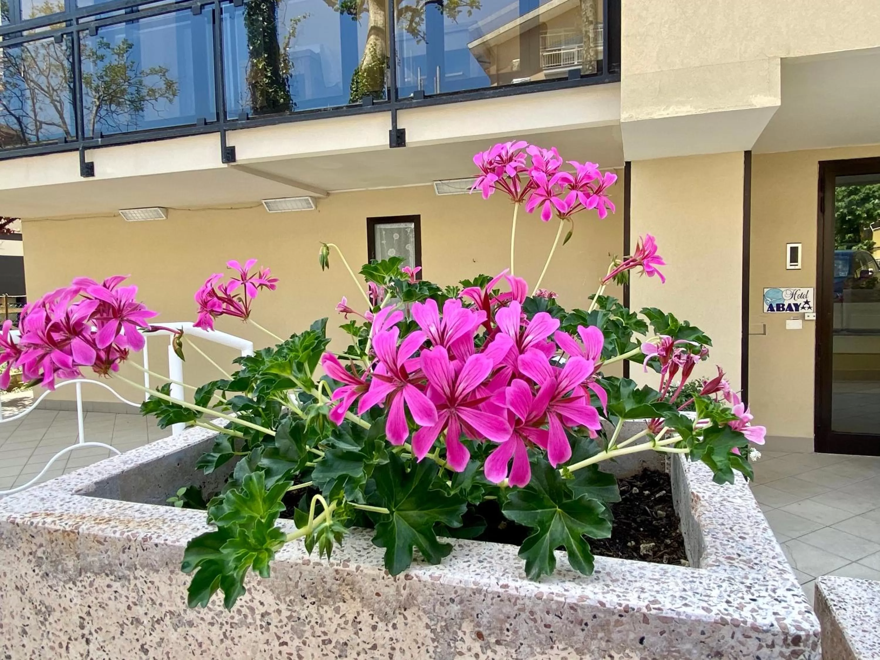 Property building in HOTEL ABAY