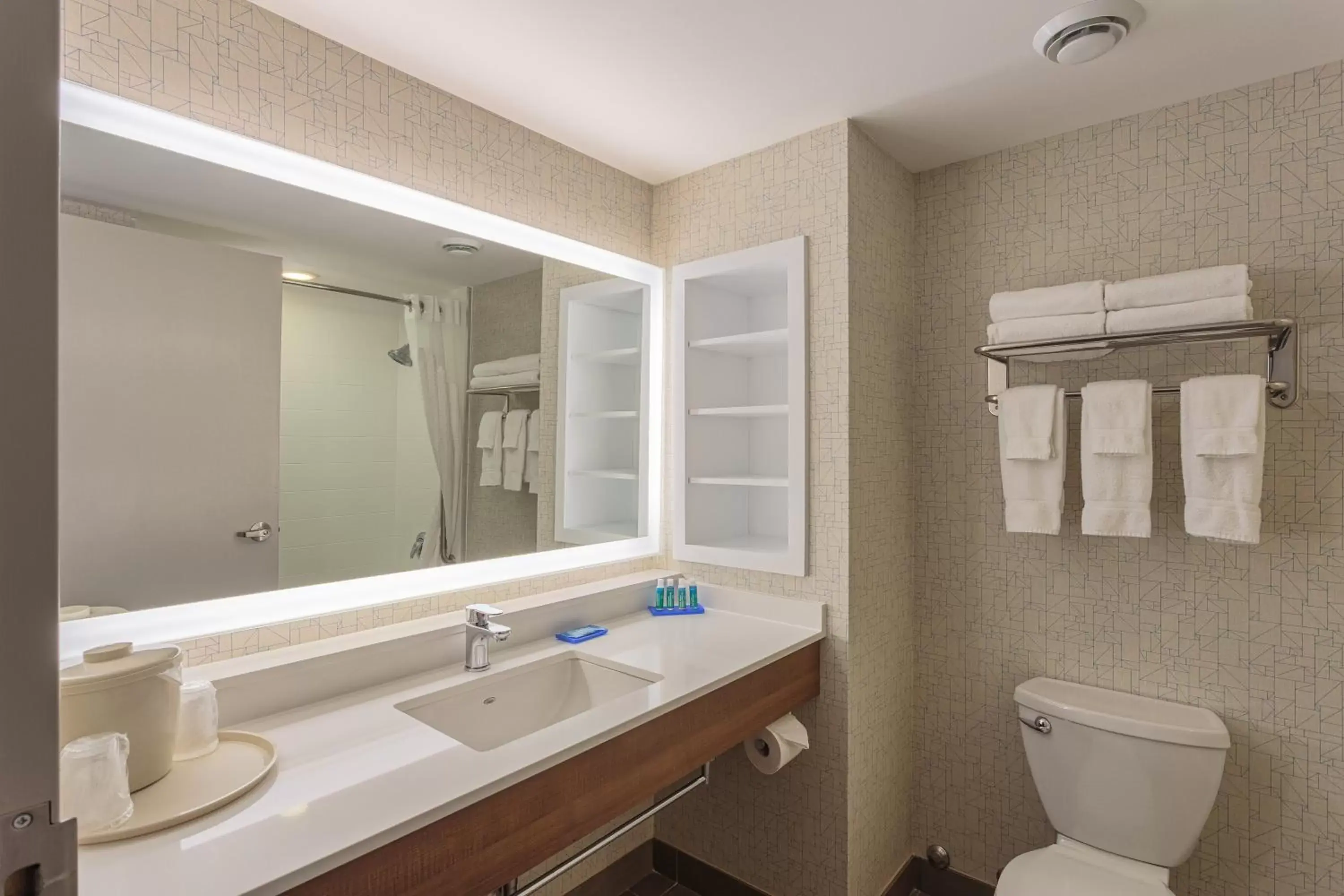 Bathroom in Holiday Inn Express & Suites - Belleville, an IHG Hotel