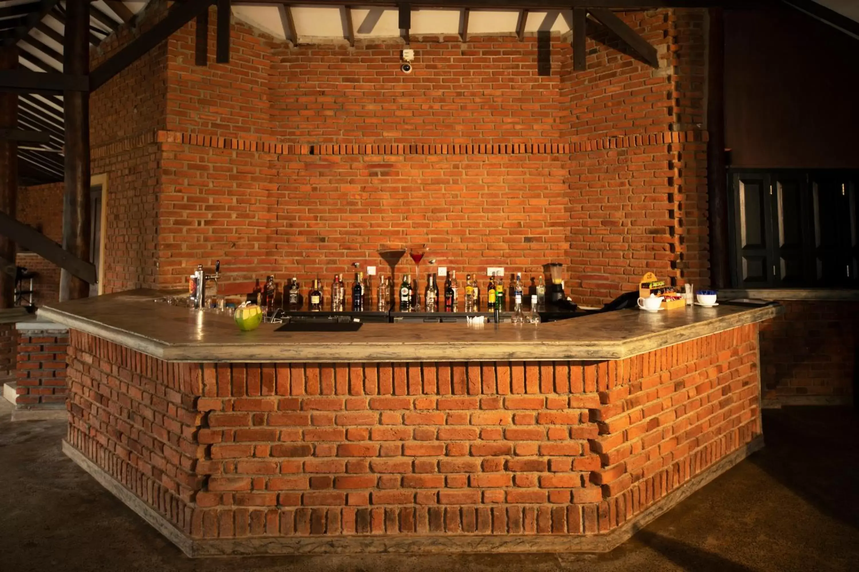 Food and drinks in Club Hotel Dolphin Food and drinks in Club Hotel Dolphin