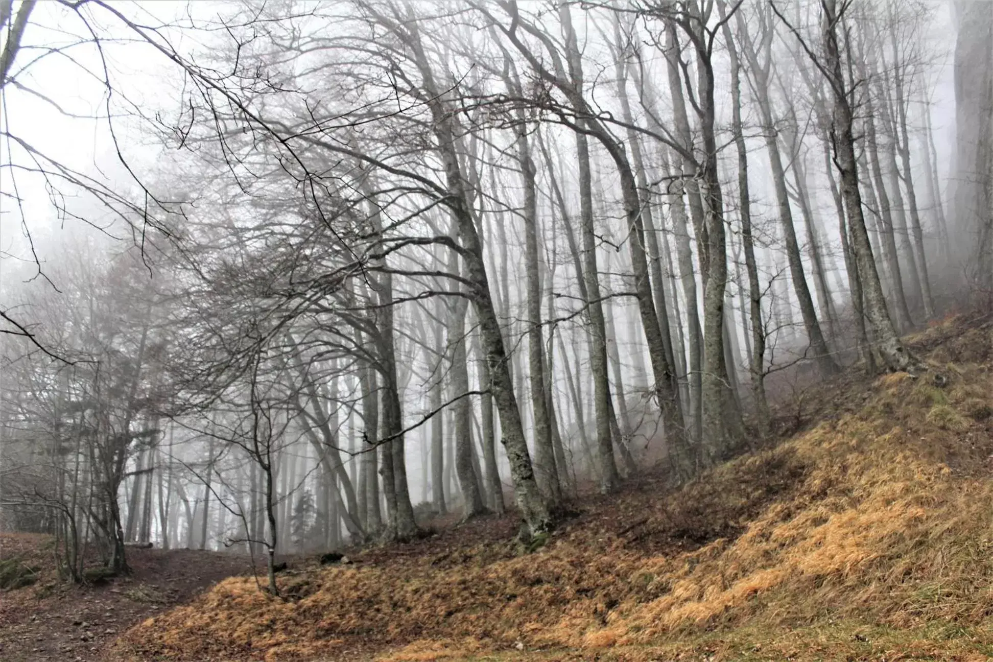 Natural landscape in B&B BORGHI