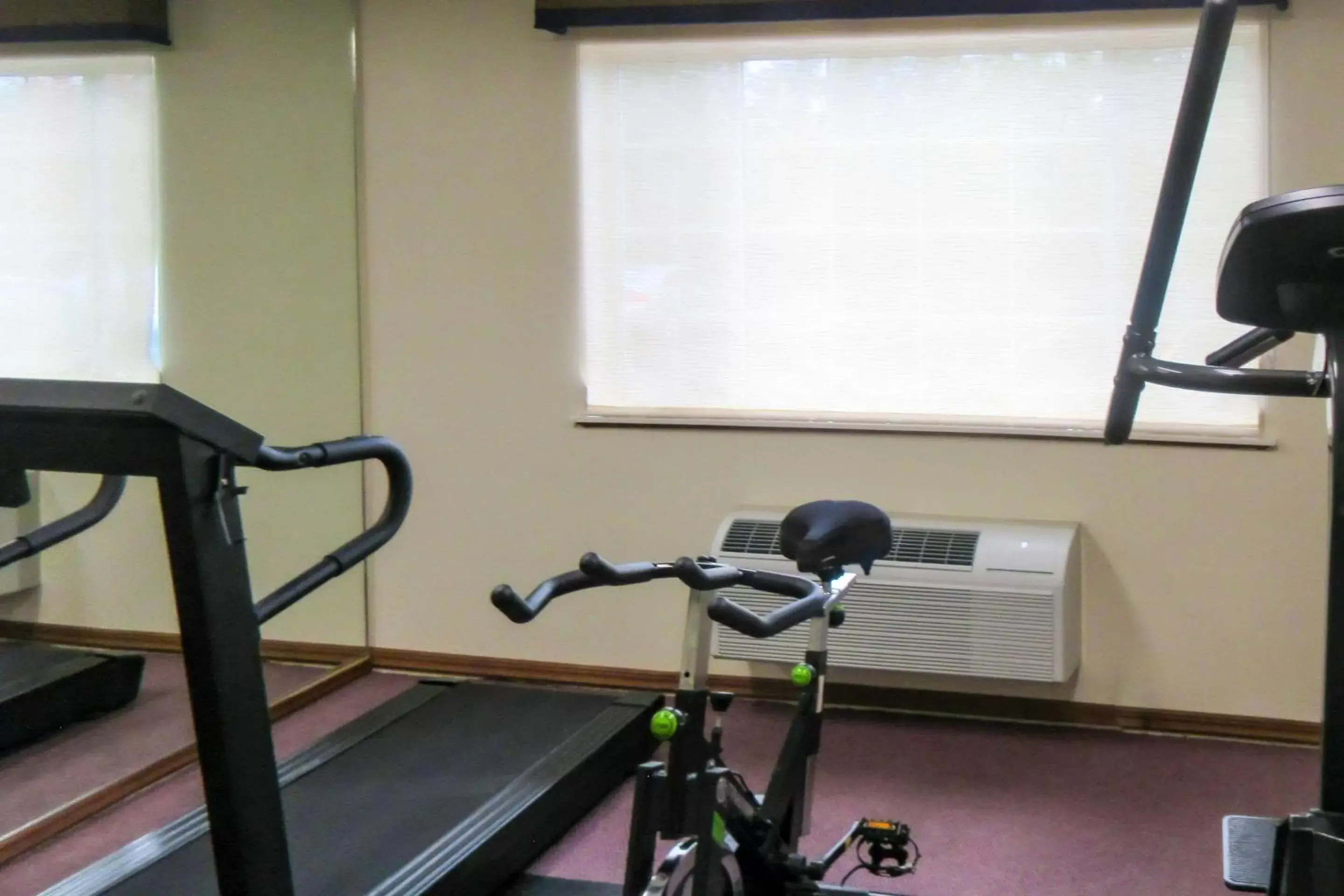 Fitness centre/facilities in Quality Inn & Suites Red Wing Fitness centre/facilities in Quality Inn & Suites Red Wing