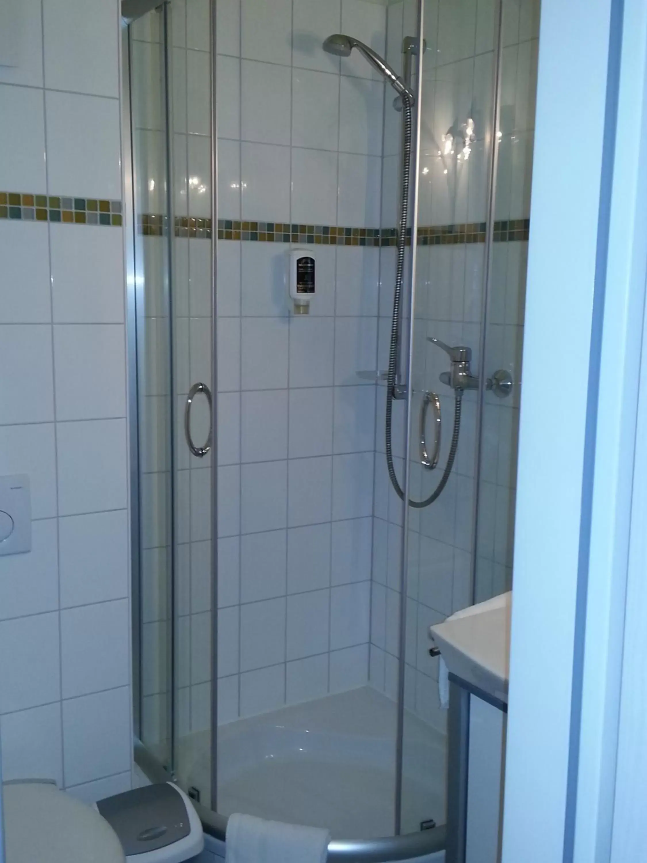 Shower, Bathroom in Hotel Aviva