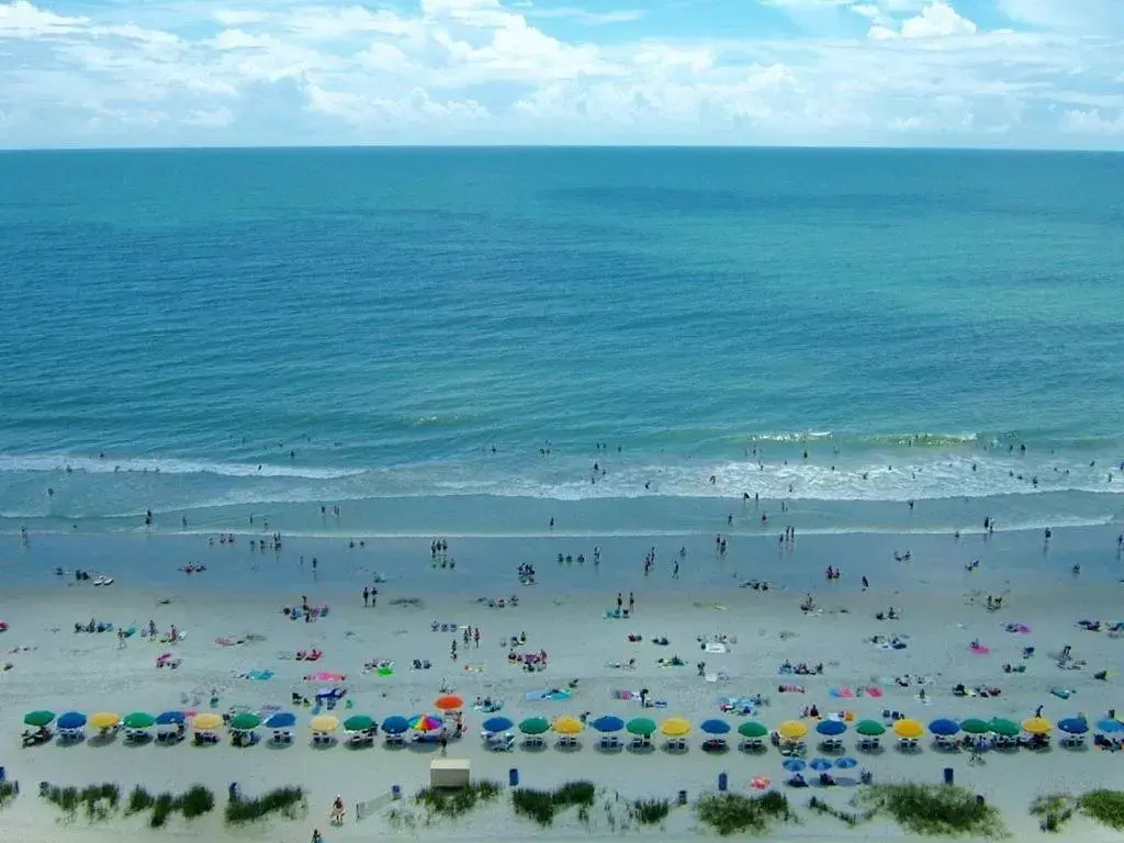 Bird's eye view, Beach in Suites at the Beach