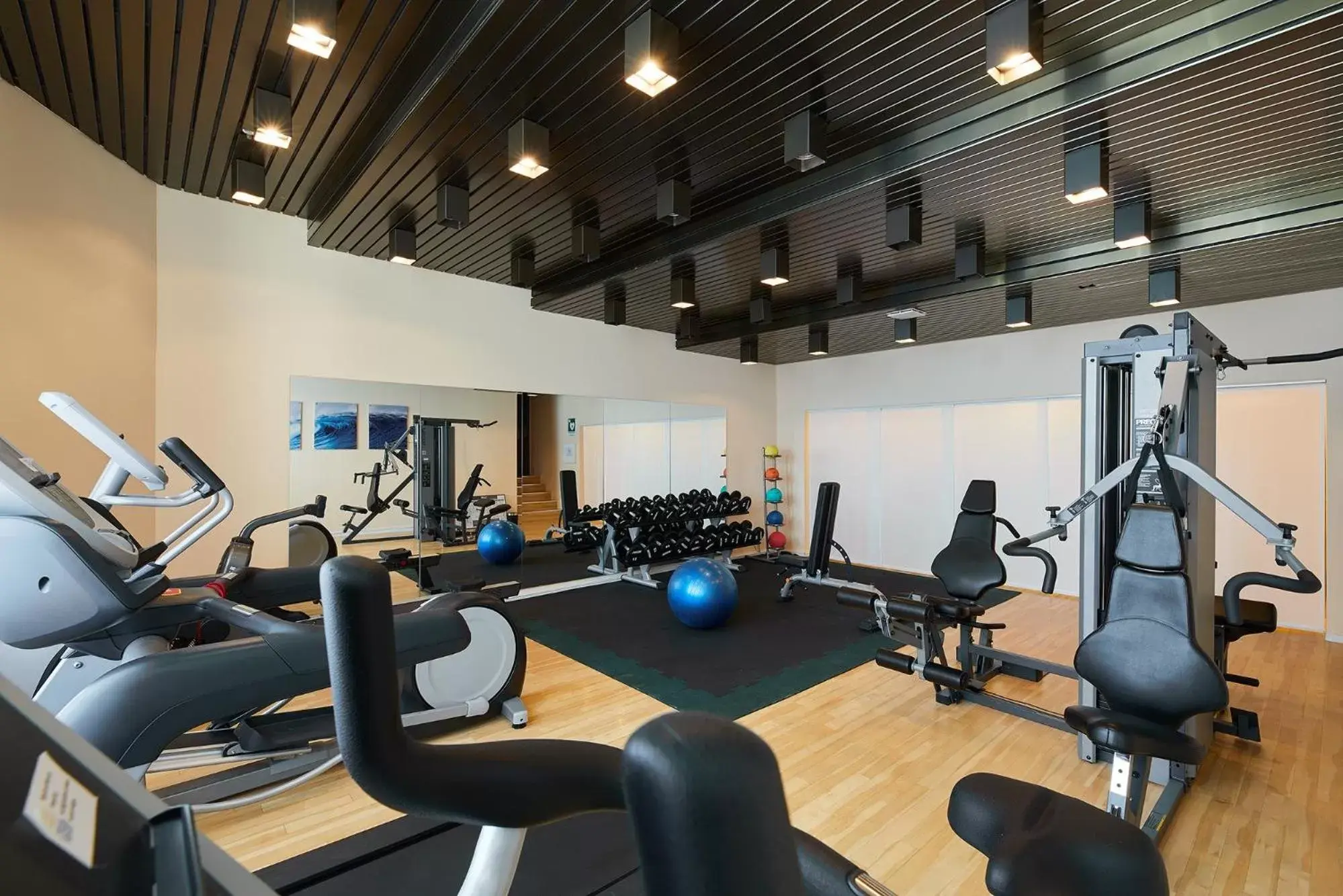 Fitness centre/facilities, Fitness Center/Facilities in Parkhotel St.Leonhard