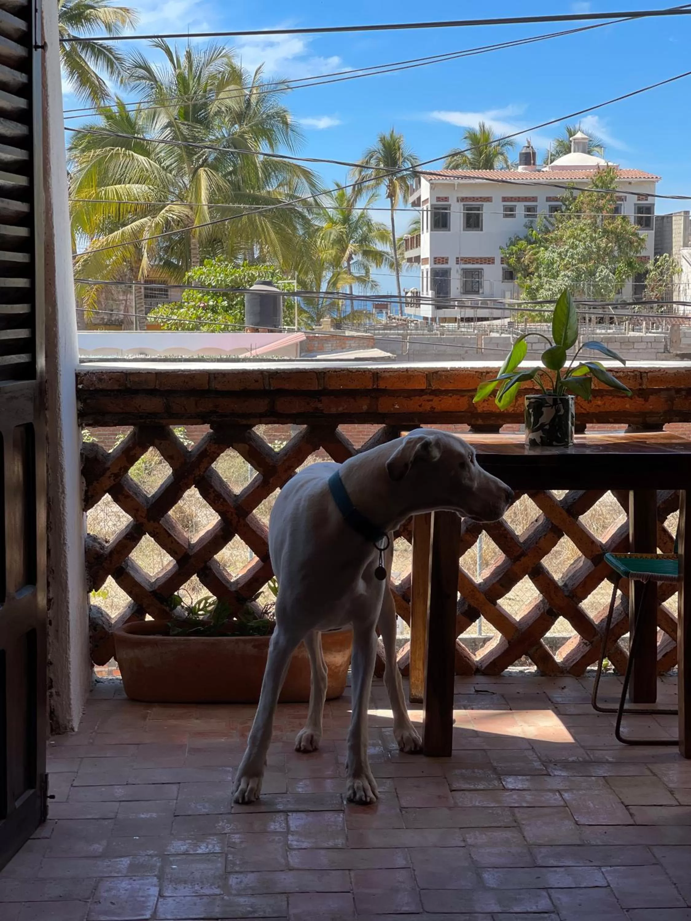 Hosteria Chata Adults Only