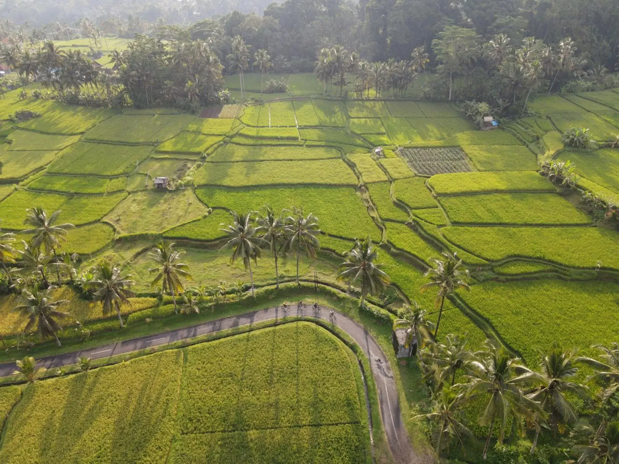 Natural landscape, Bird's-eye View in The Sun of Granary Resort and Villas