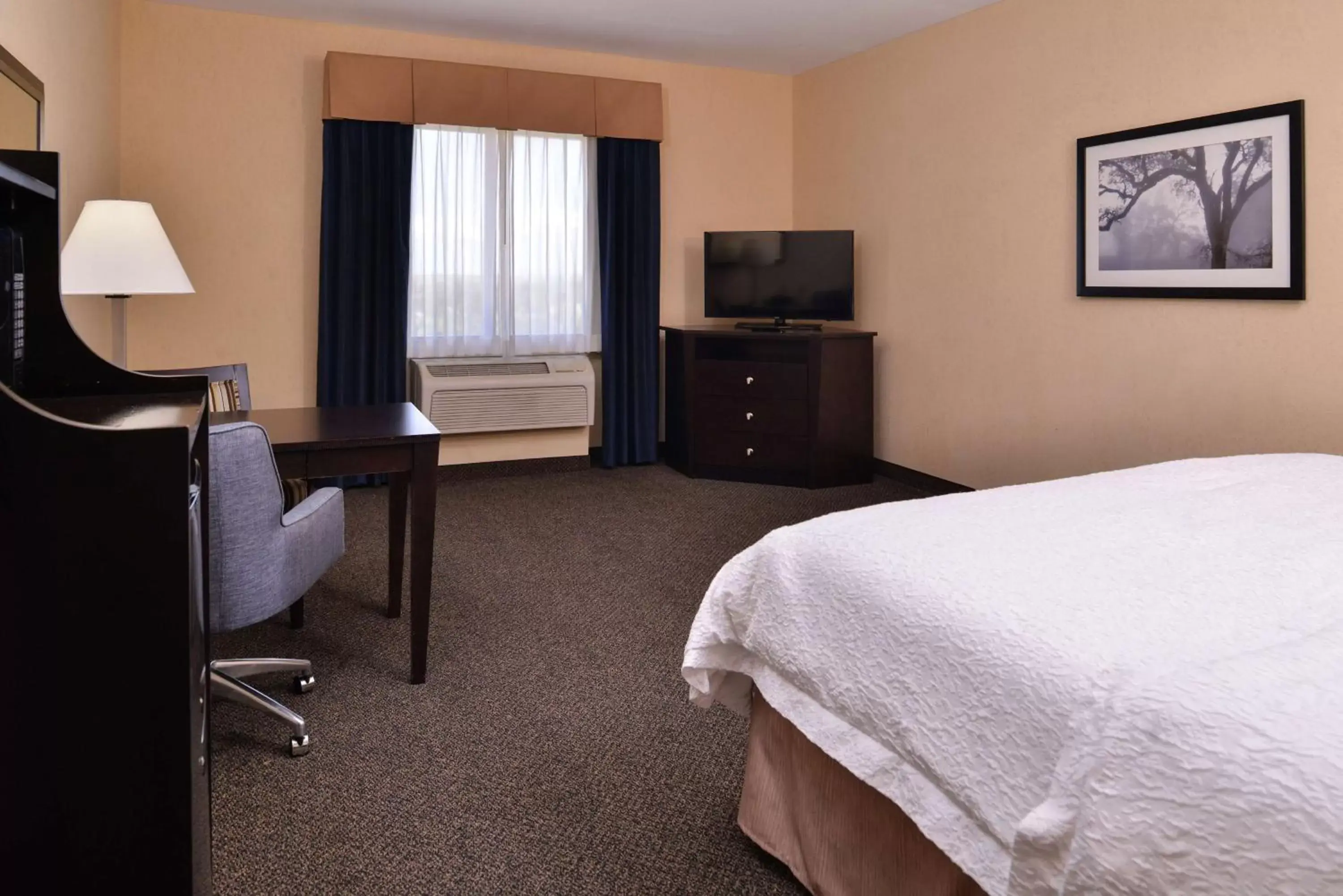 Bedroom, TV/Entertainment Center in Hampton Inn & Suites Woodward