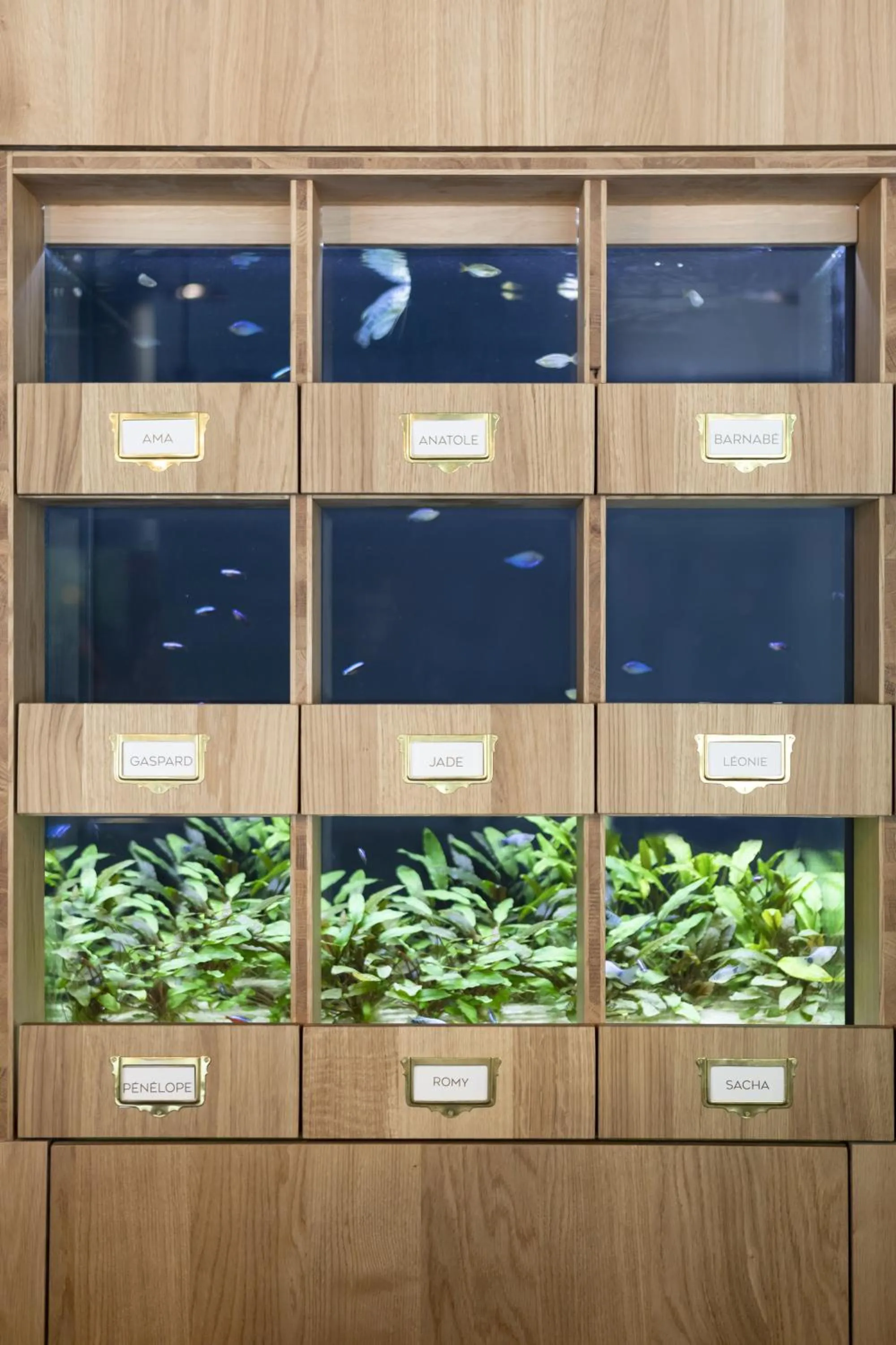 Lobby or reception in Black Bass Hotel