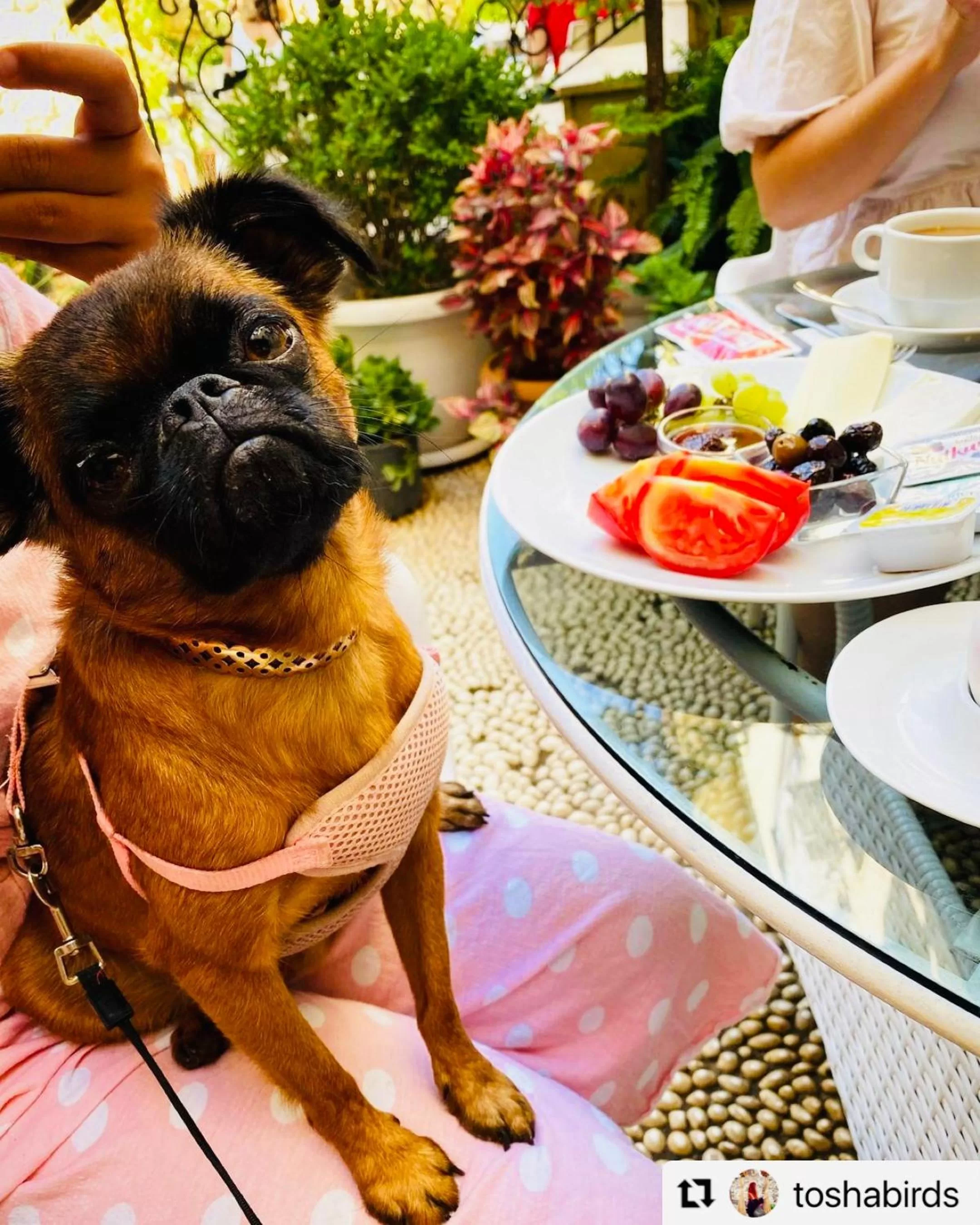 Food and drinks in Kaleici Hotel