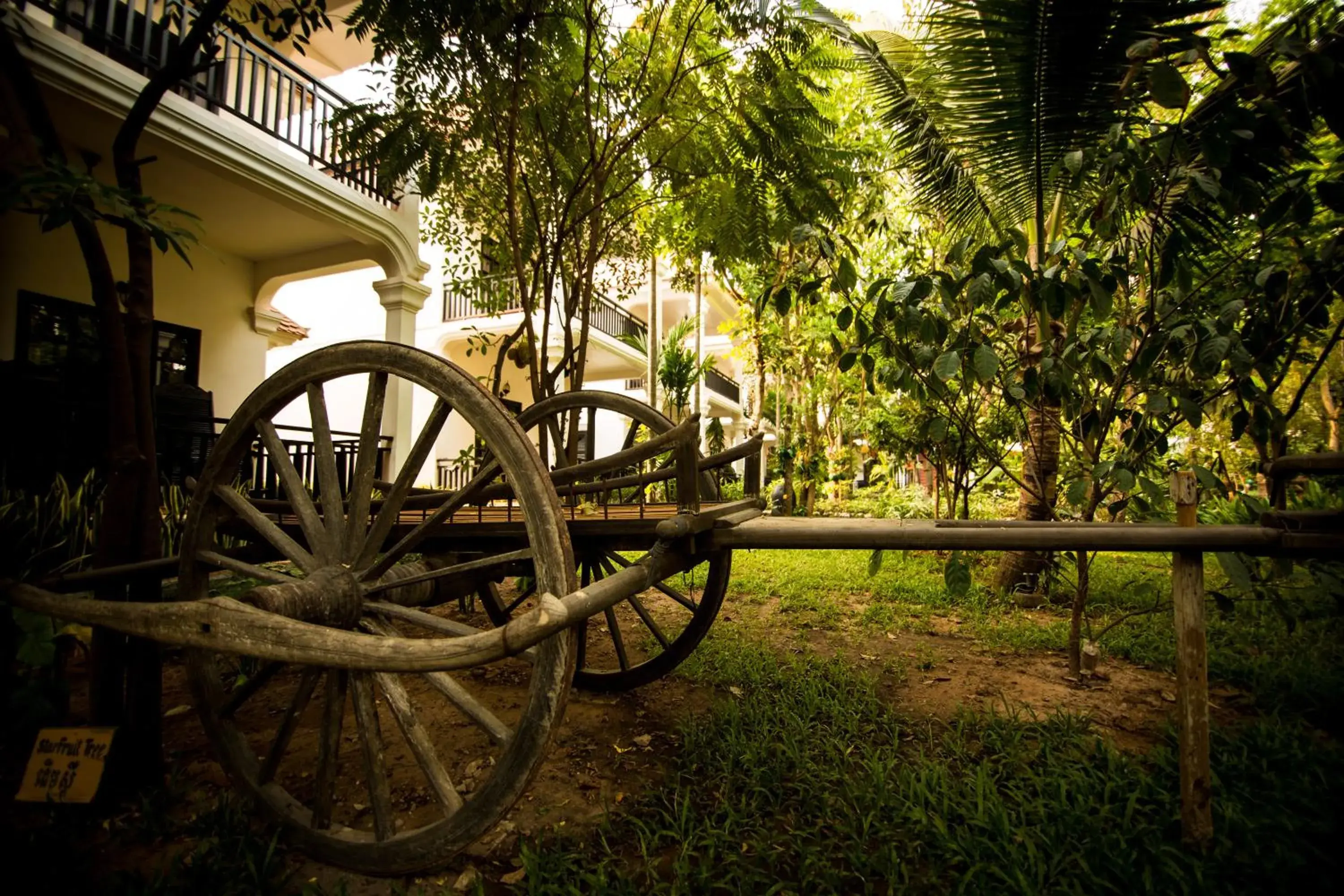 Garden in Sonalong Boutique Village and Resort