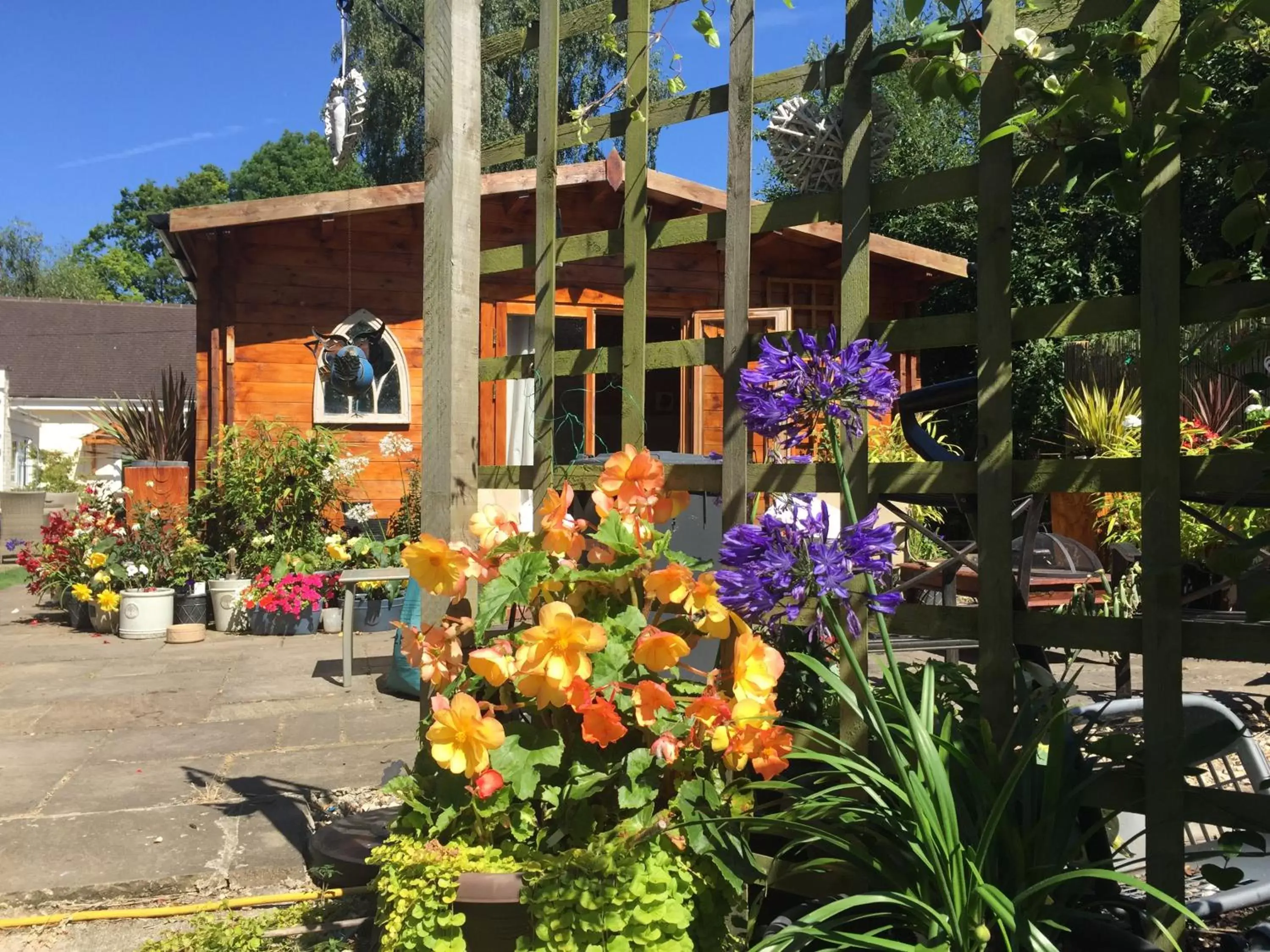 Garden, Property Building in West View Lodge