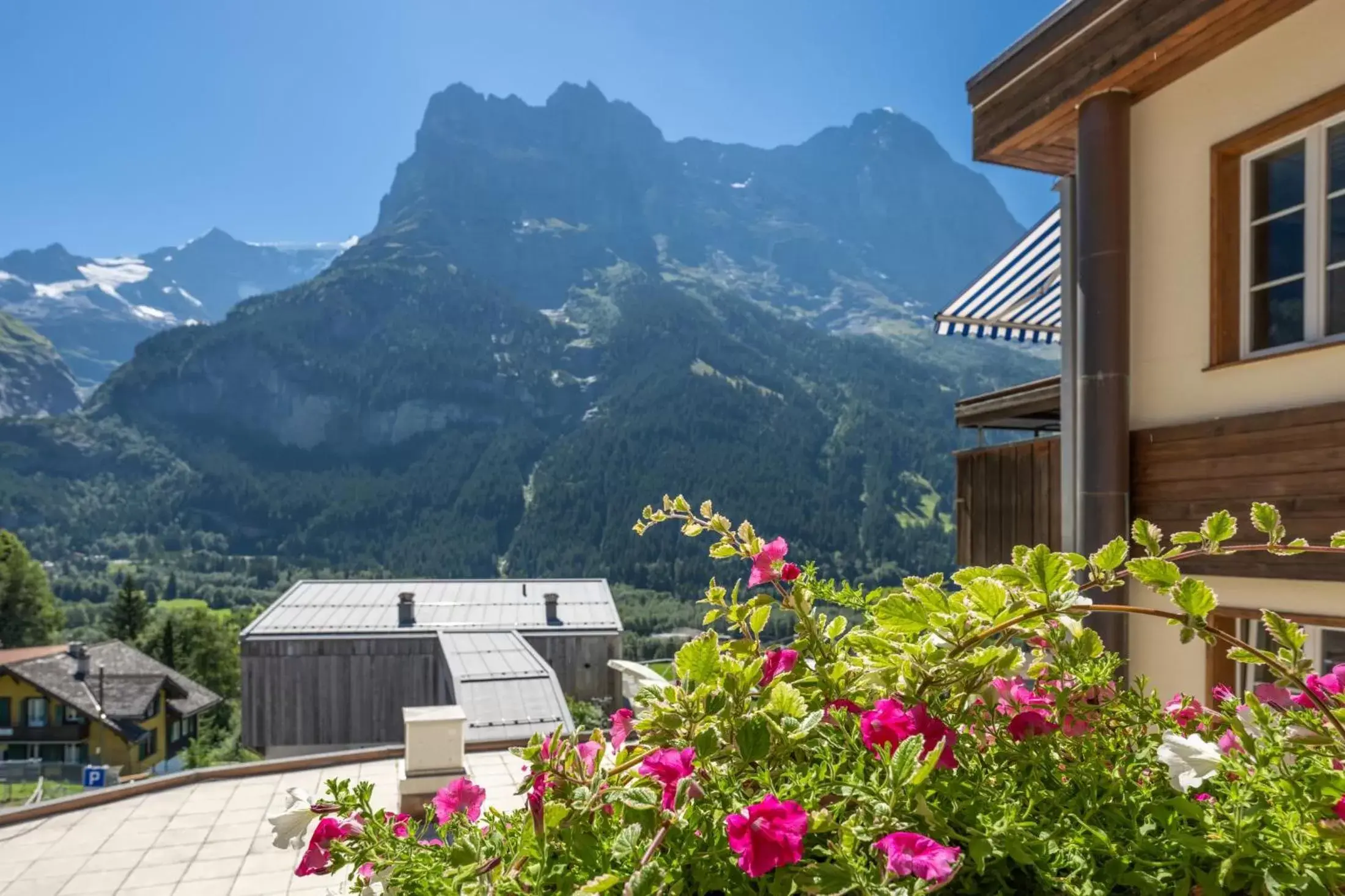 Mountain View in Hotel Spinne Grindelwald