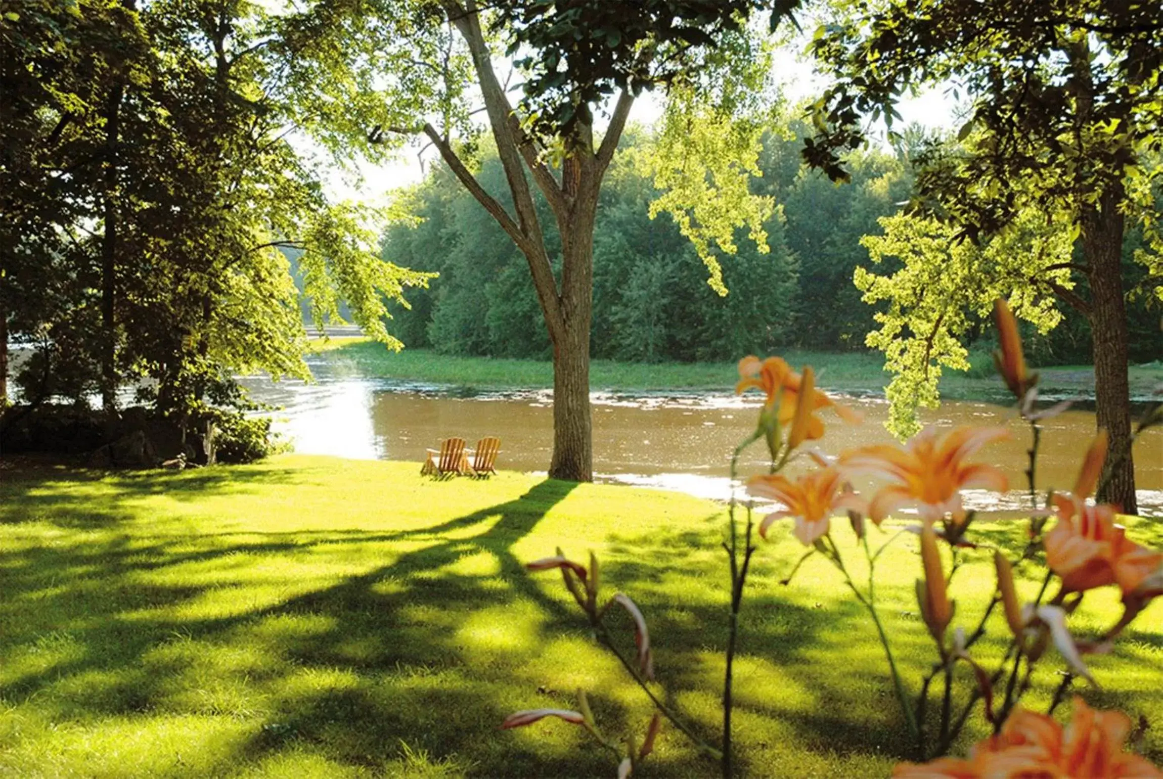 River view, Garden in Hôtel Le Rivage