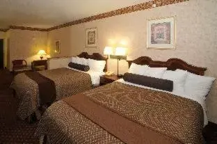 Bed in Best Western Plus Shamrock Inn & Suites