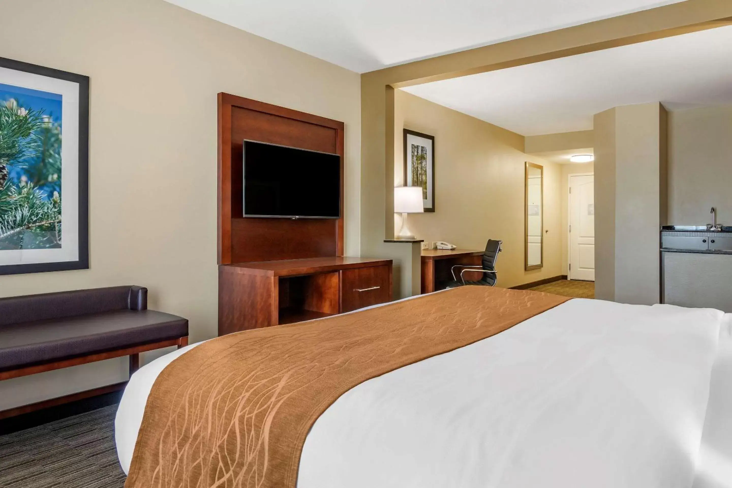 Bedroom, Bed in Comfort Inn and Suites Tifton