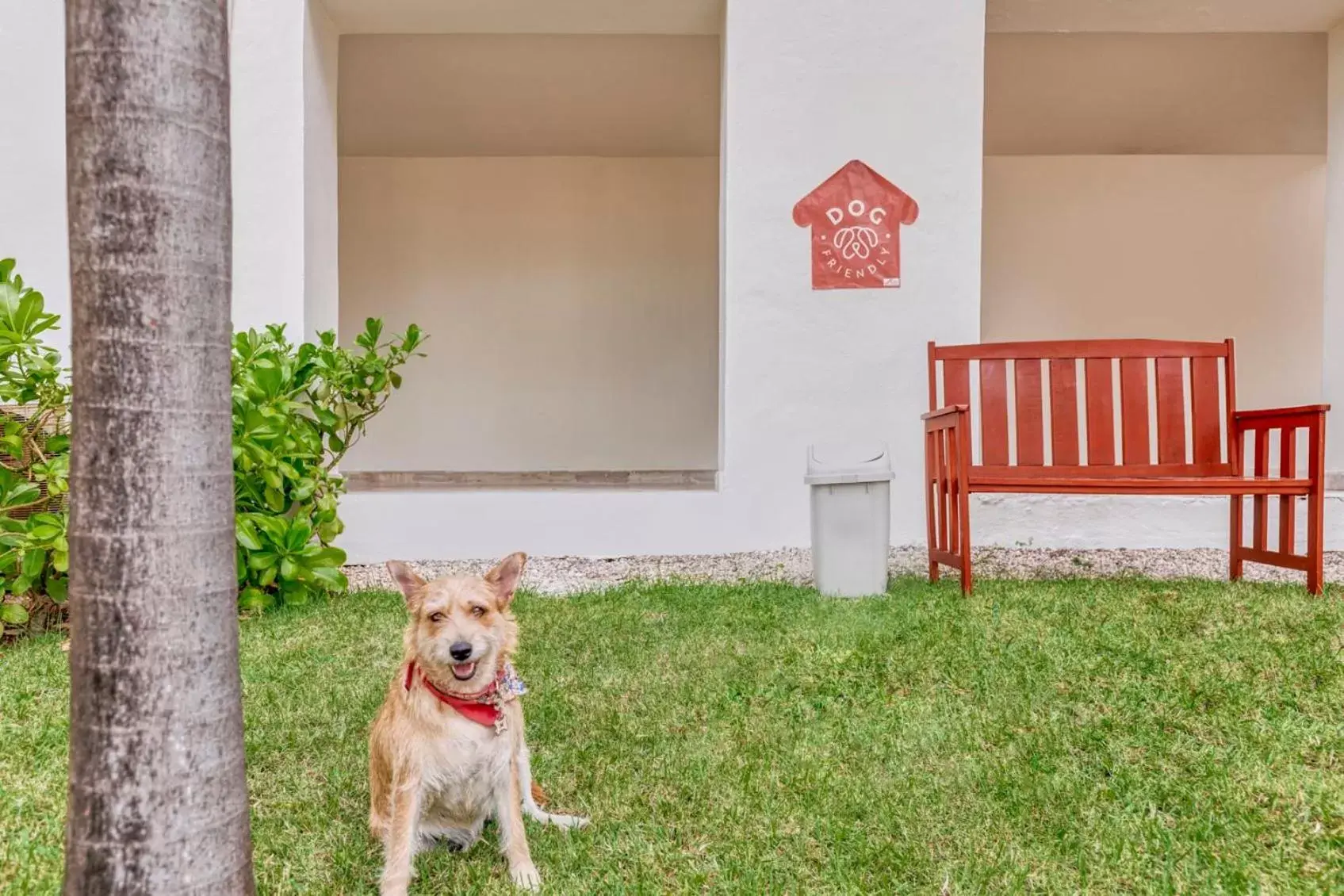 Pets in Fiesta Americana Cancun Villas