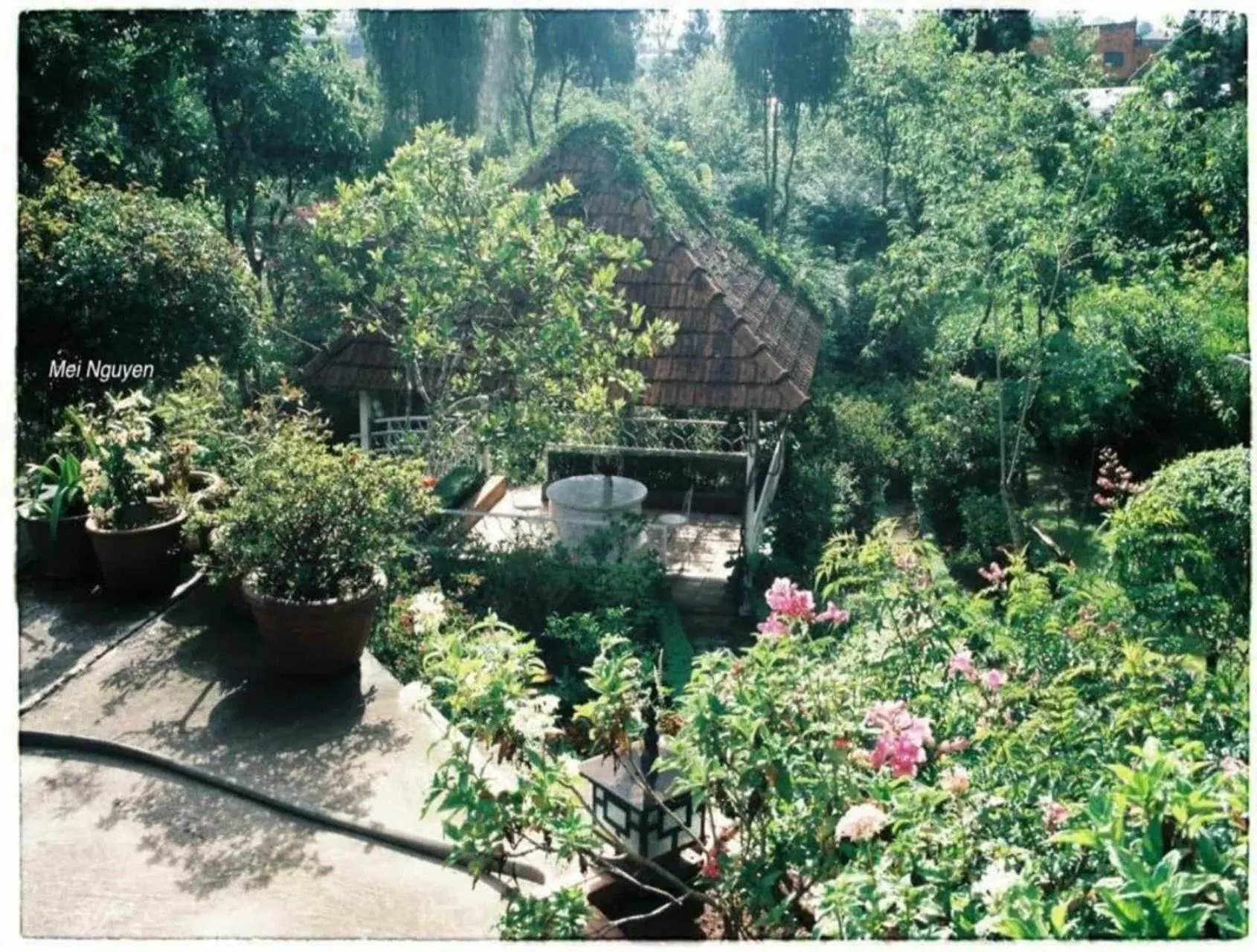 Dalat Terrasse Des Roses Villa