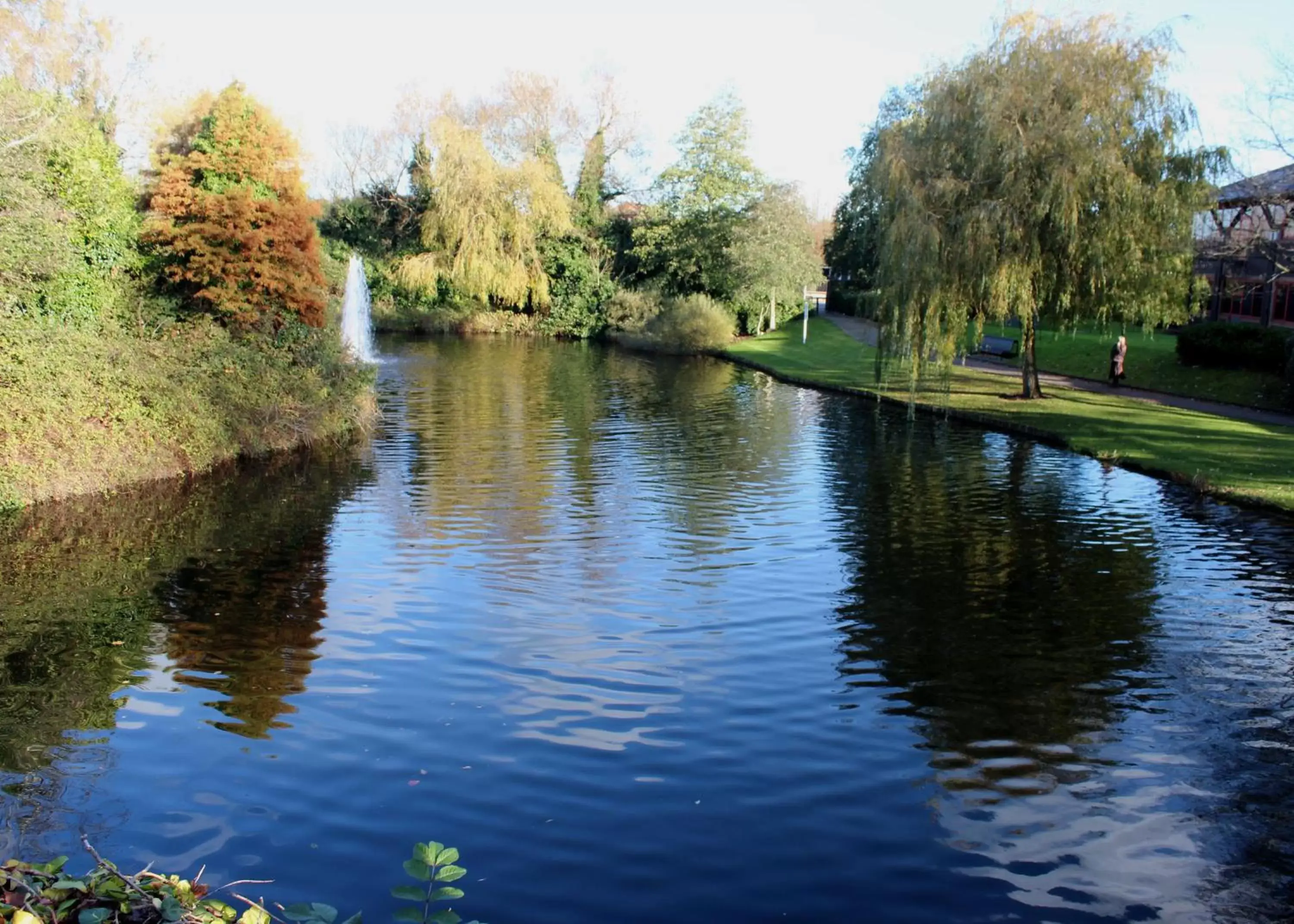 Natural landscape in Lodge at Bristol