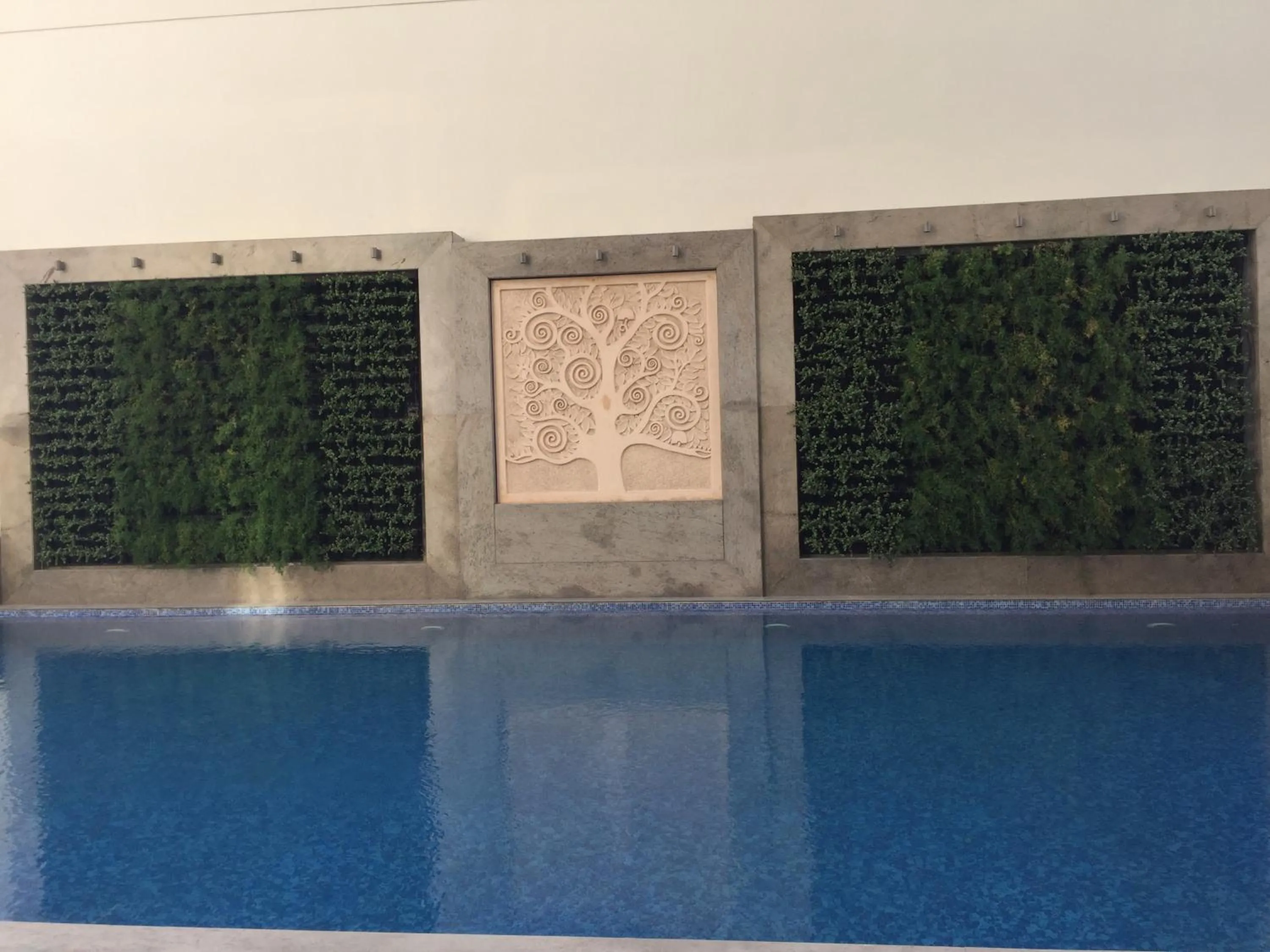 Swimming pool in Lemon Tree Hotel, Sector 60, Gurugram