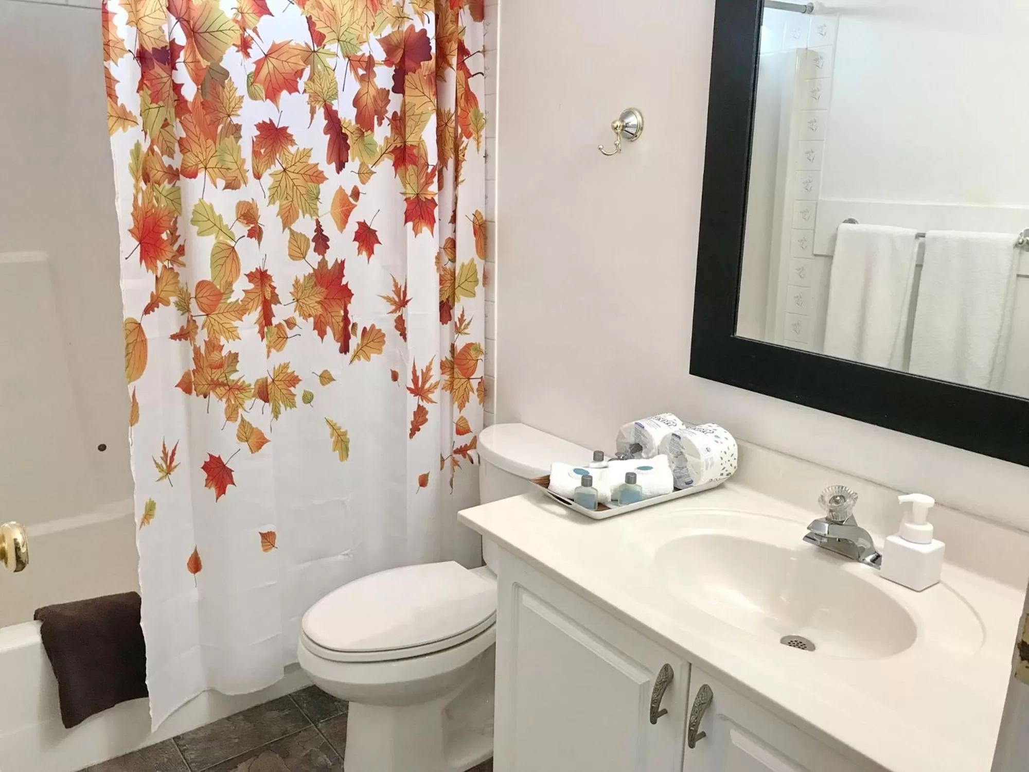 Bathroom in Duncan Motel