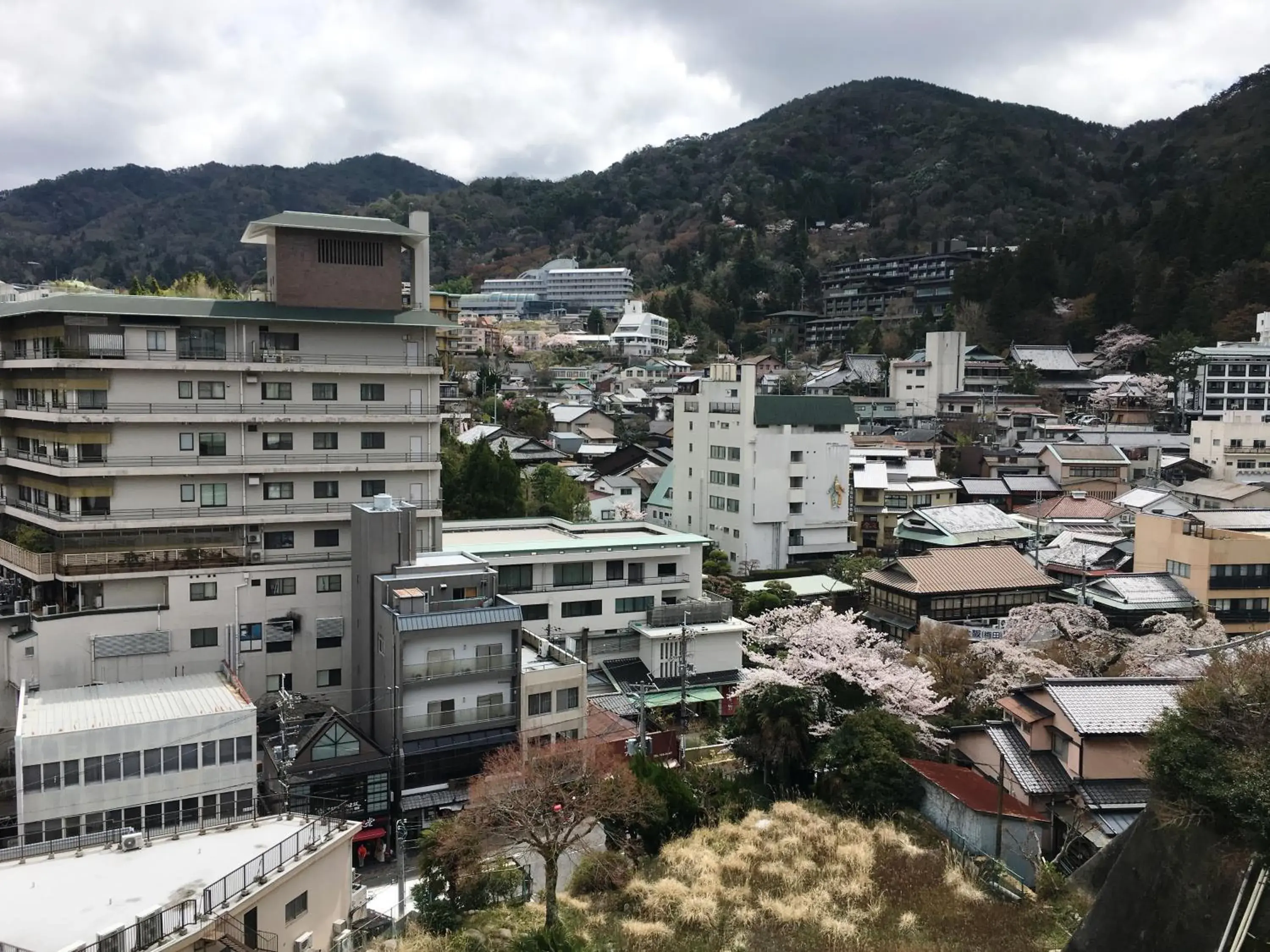 Mountain view in Ryokan Arima Gyoen