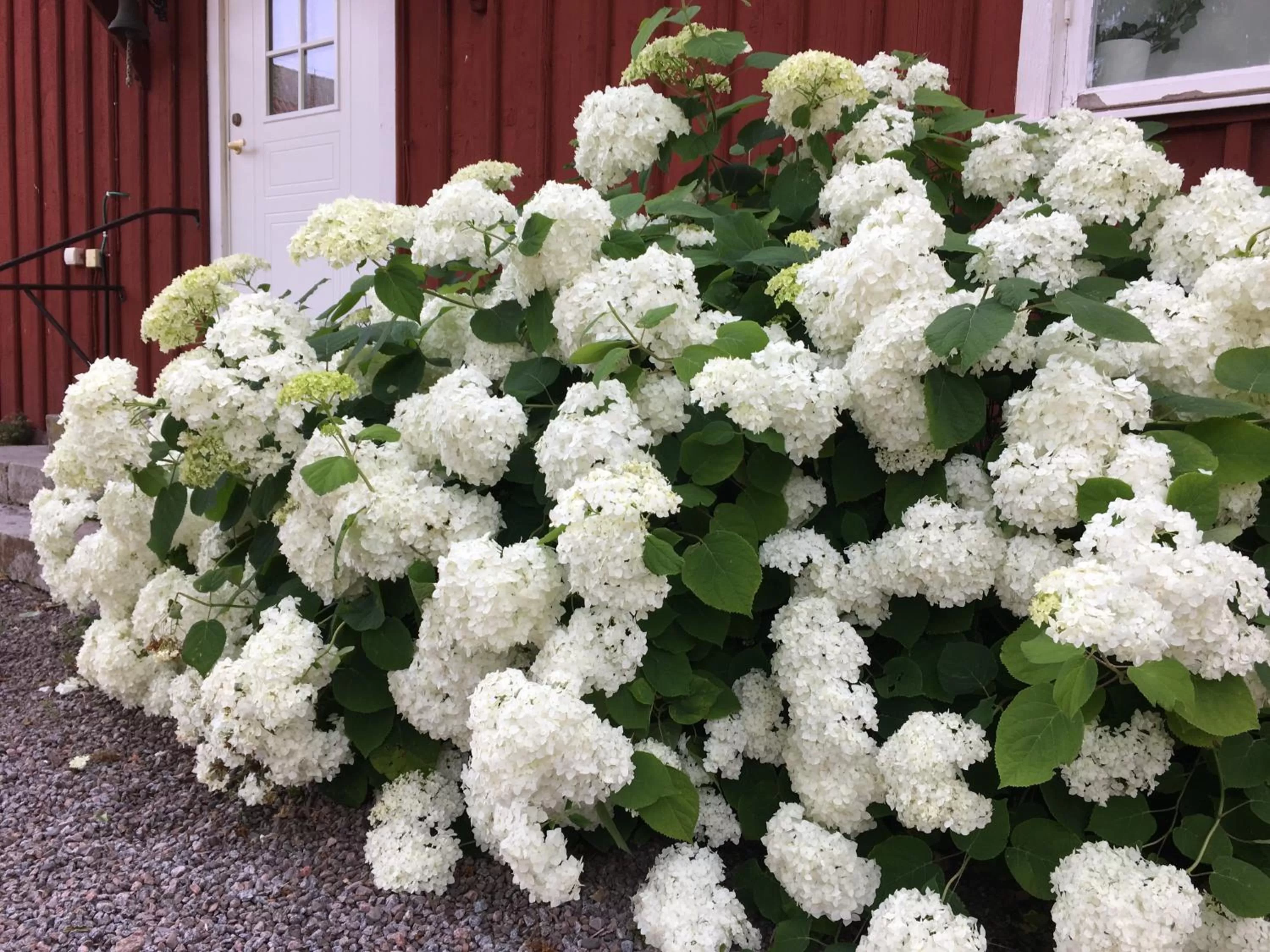 Brunsbo G:a Biskopsgård Hotell & Konferens