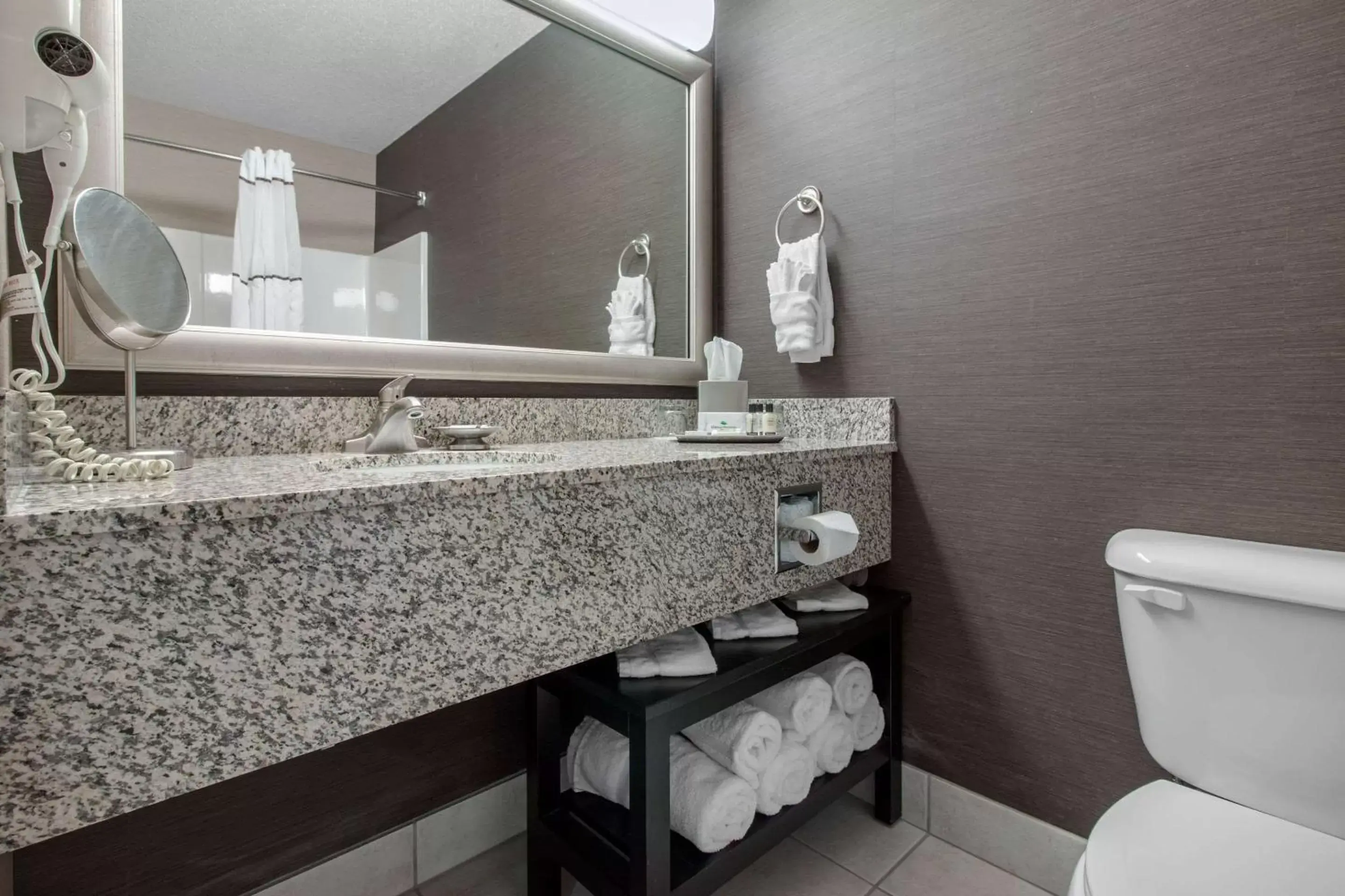 Bathroom in Norfolk Lodge & Suites, Ascend Hotel Collection