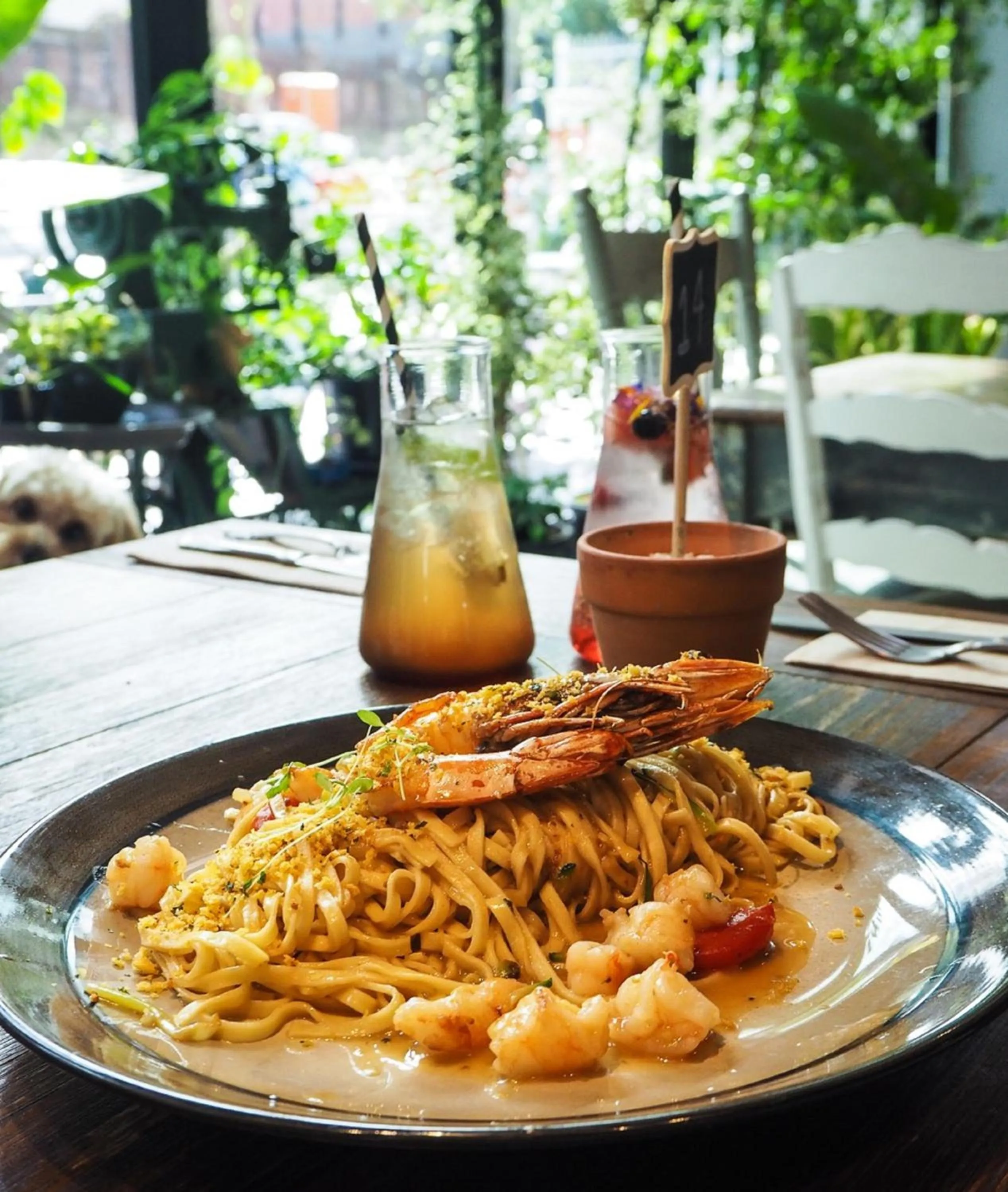 Restaurant/places to eat in Quest North Sydney