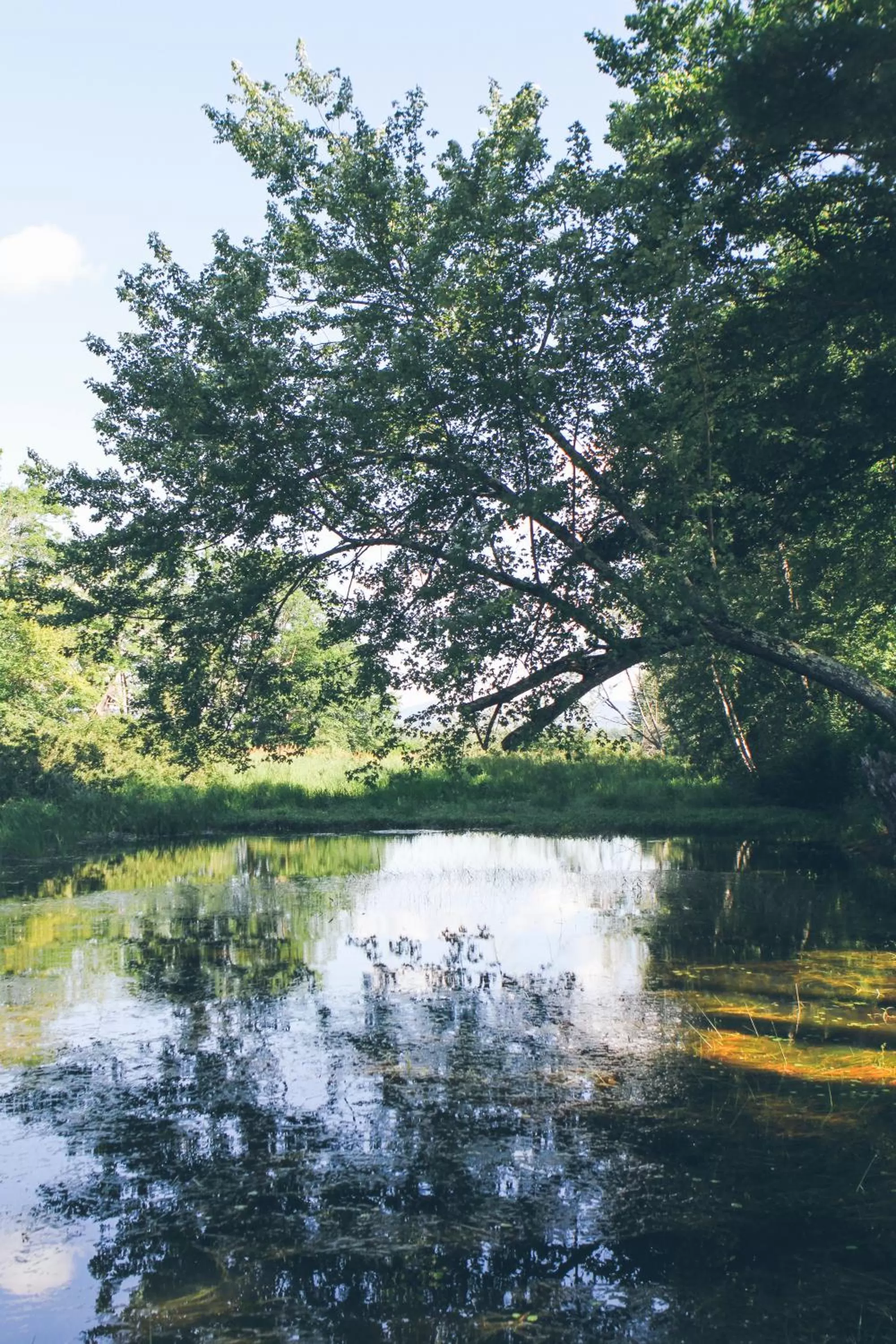 River view in Old Saco Inn