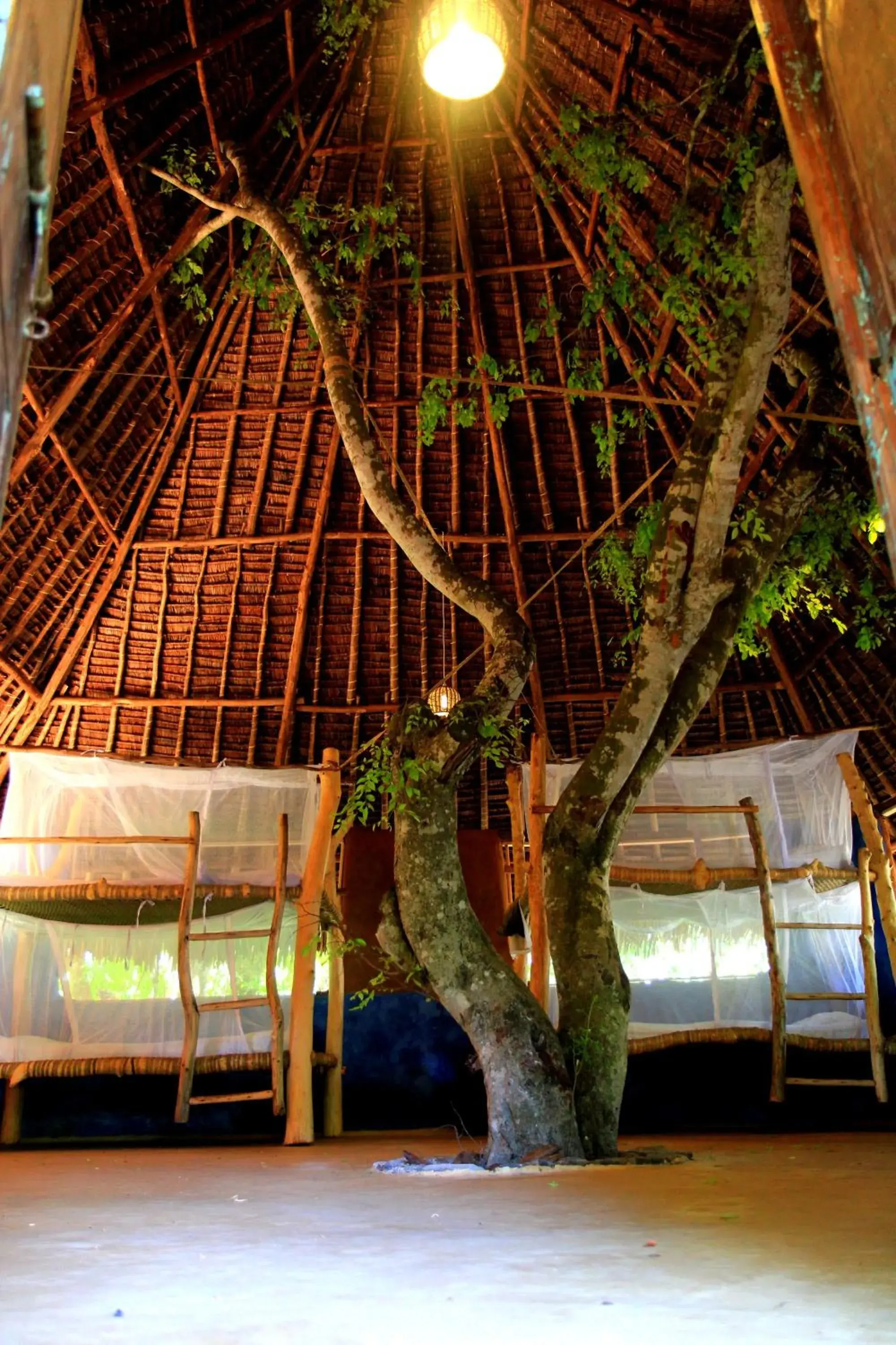 bunk bed in Distant Relatives Ecolodge & Backpackers