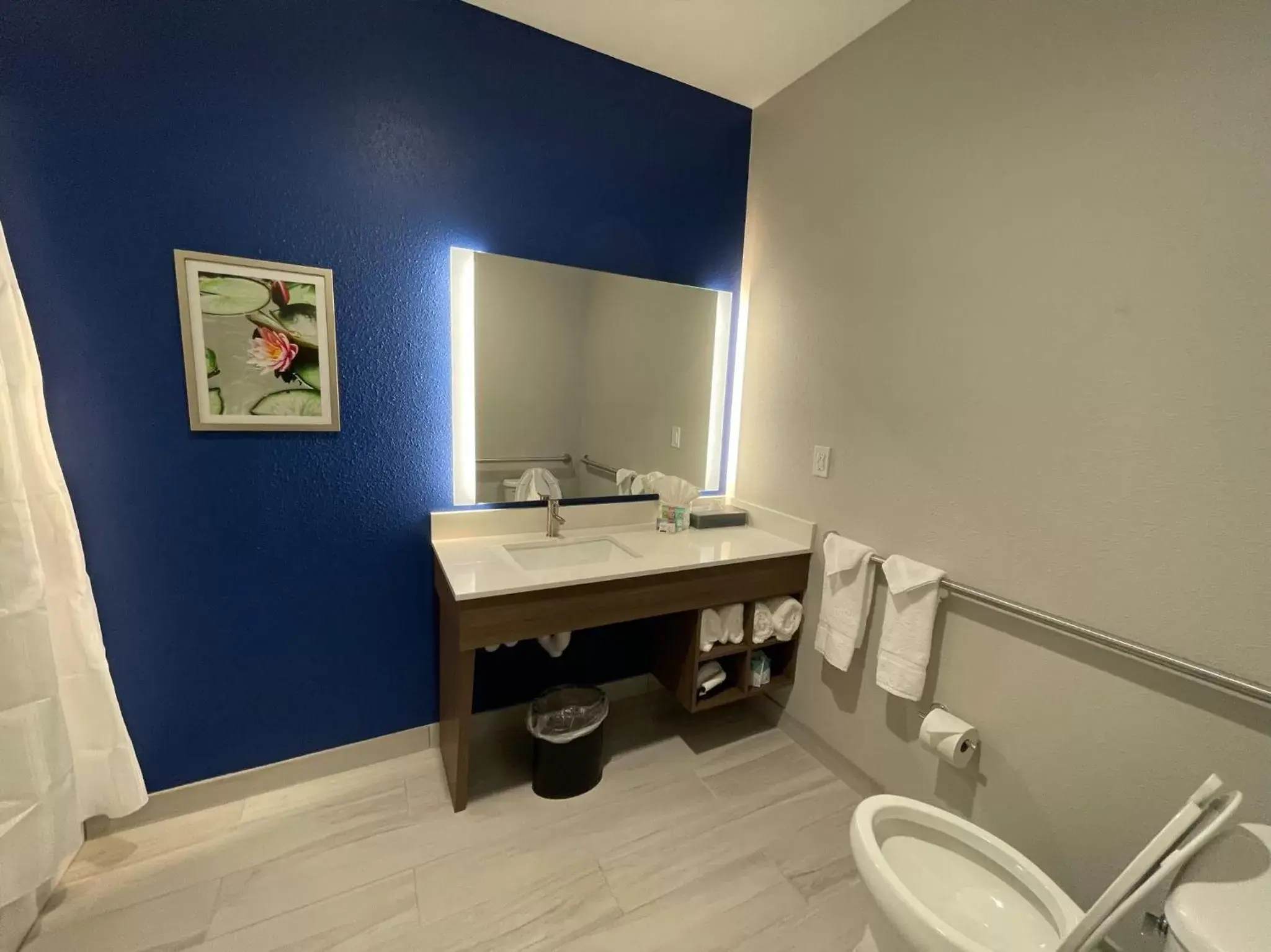 Bathroom in La Quinta Inn & Suites by Wyndham Valdosta