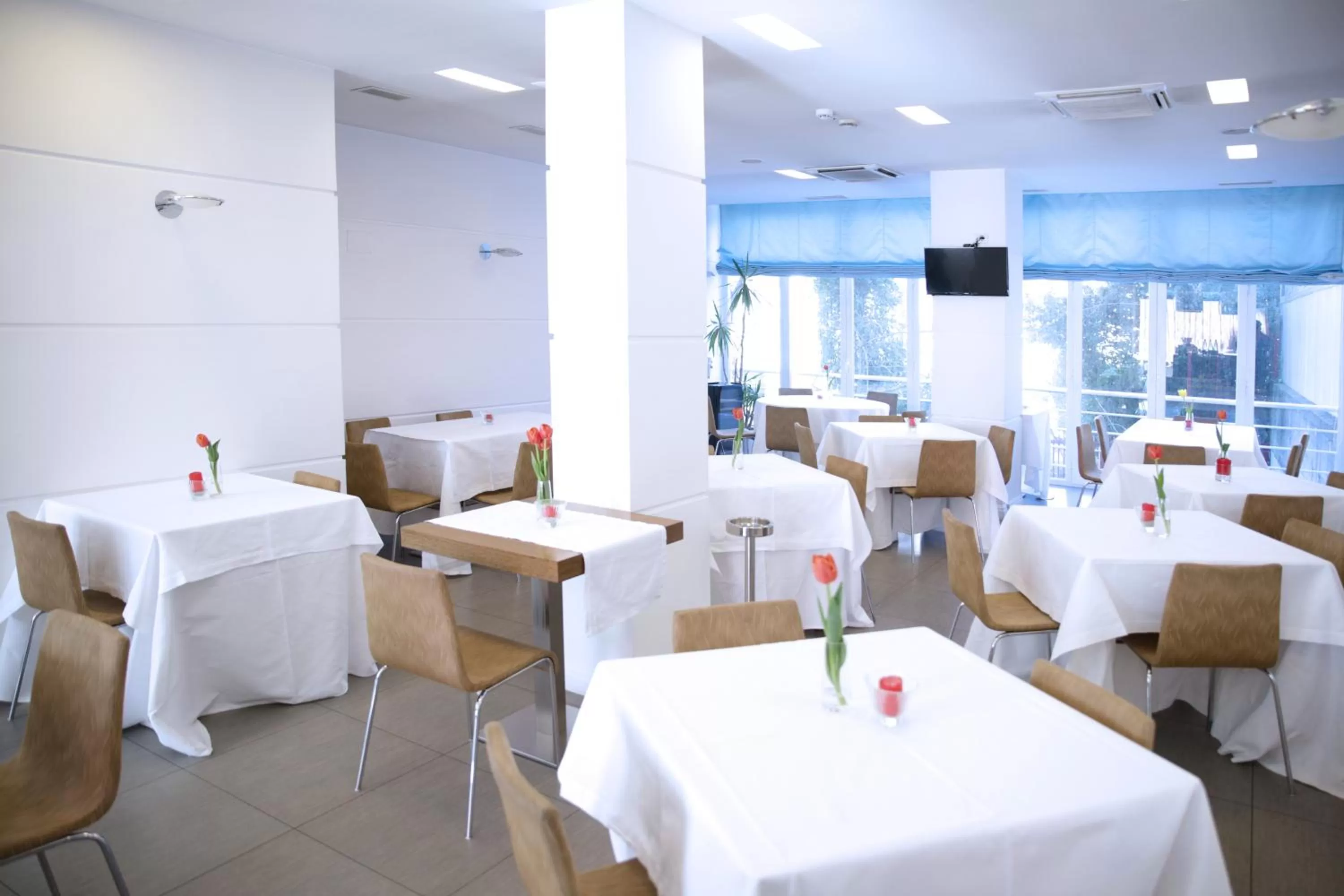 Food and drinks in Hotel Palace