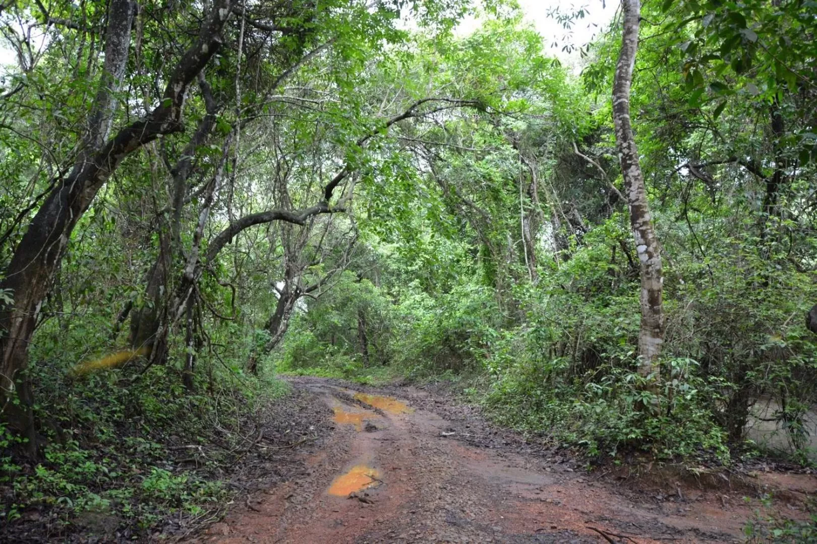 Natural landscape in Porsu