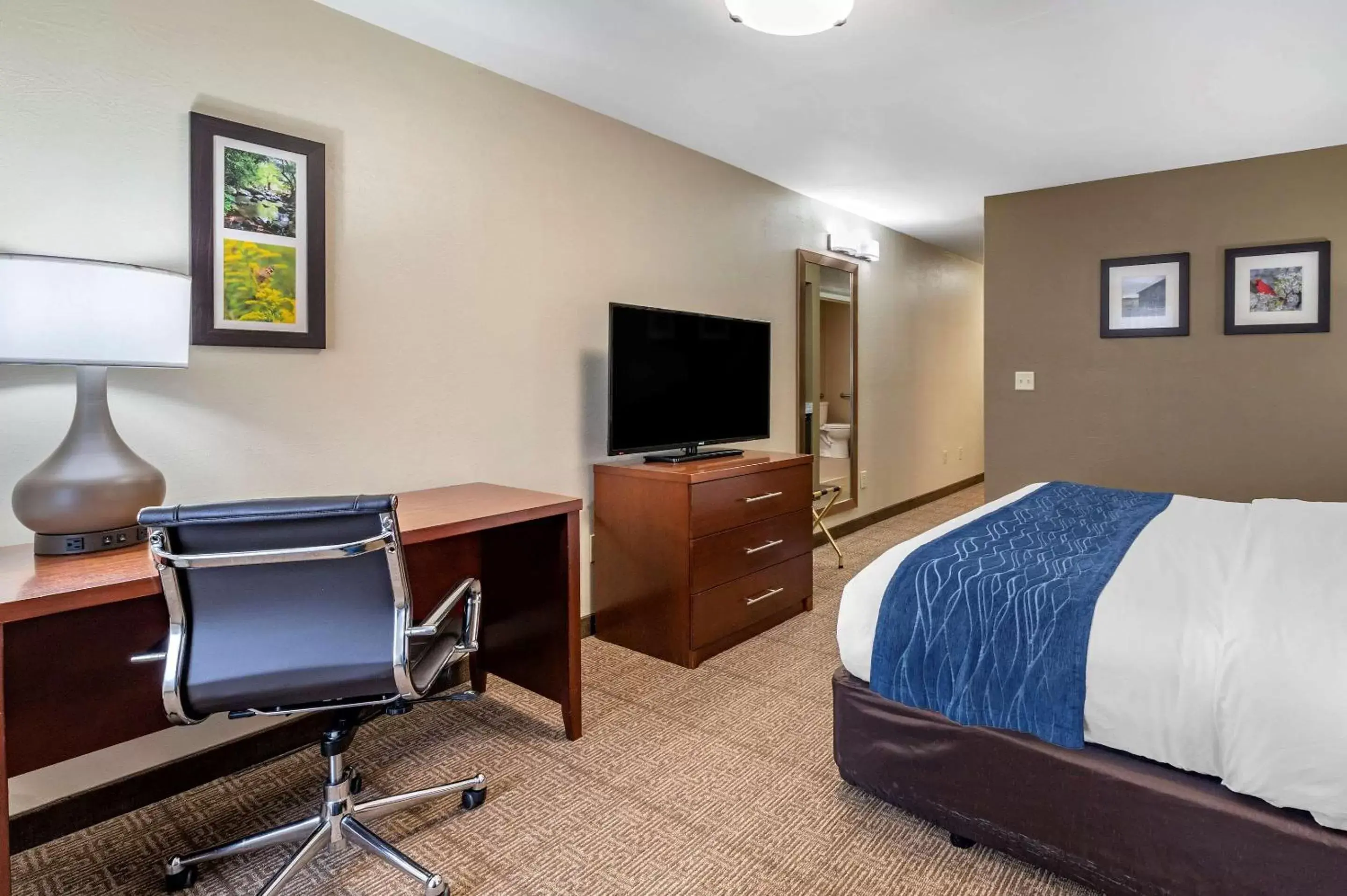 Photo of the whole room, TV/Entertainment Center in Comfort Inn & Suites Northern Kentucky