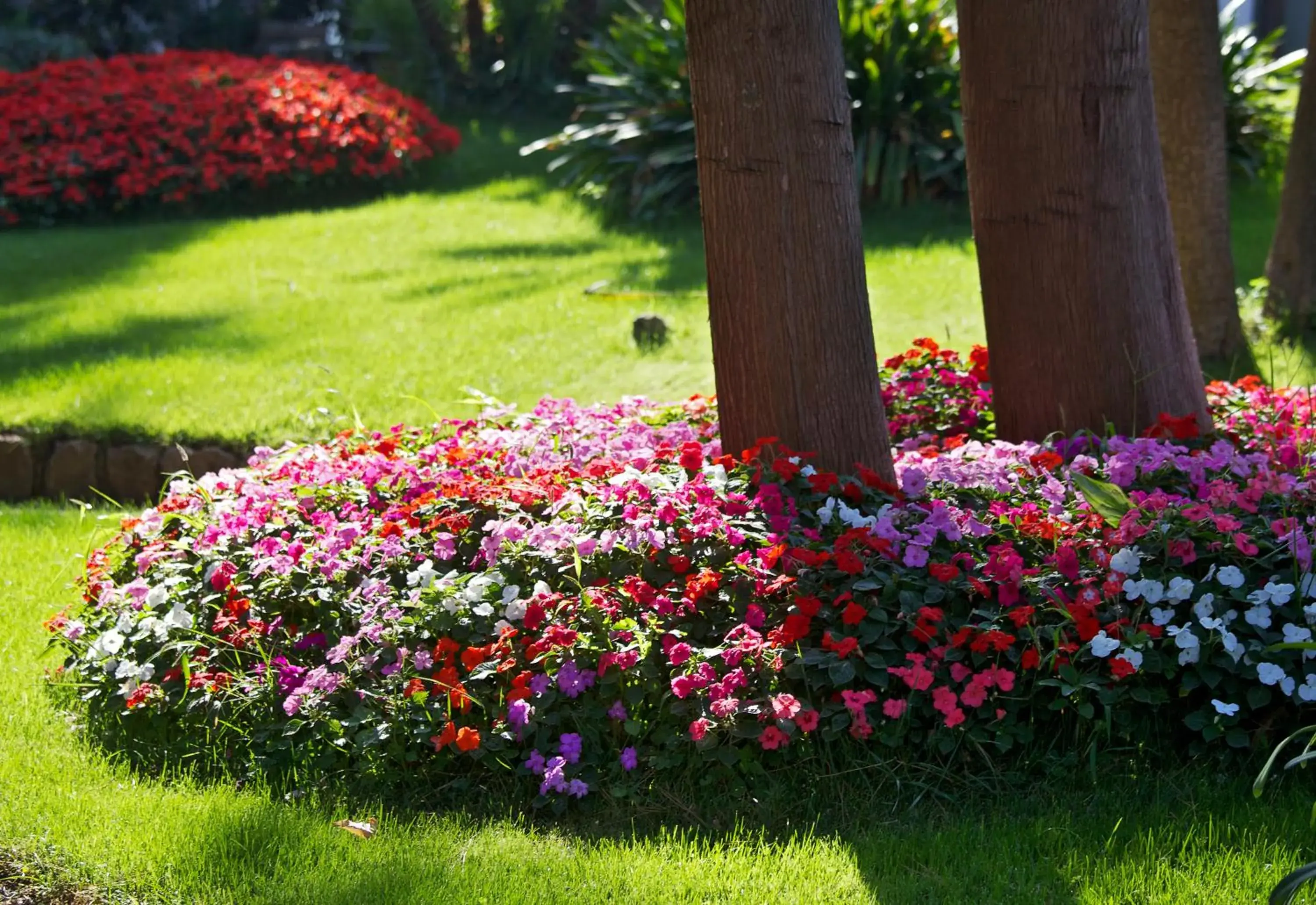 Garden in Hotel San Michele