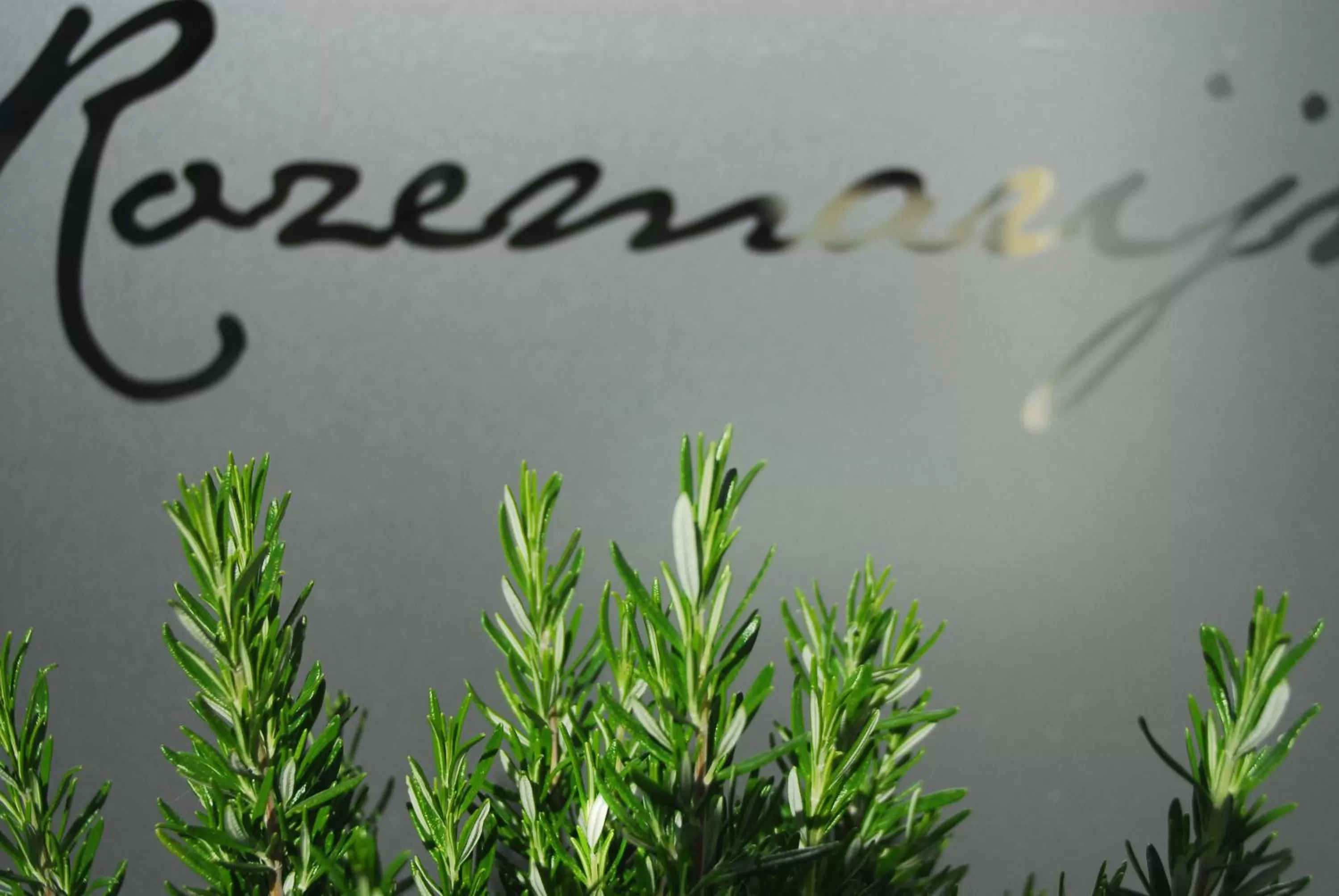 B&B Het Schaliënhof