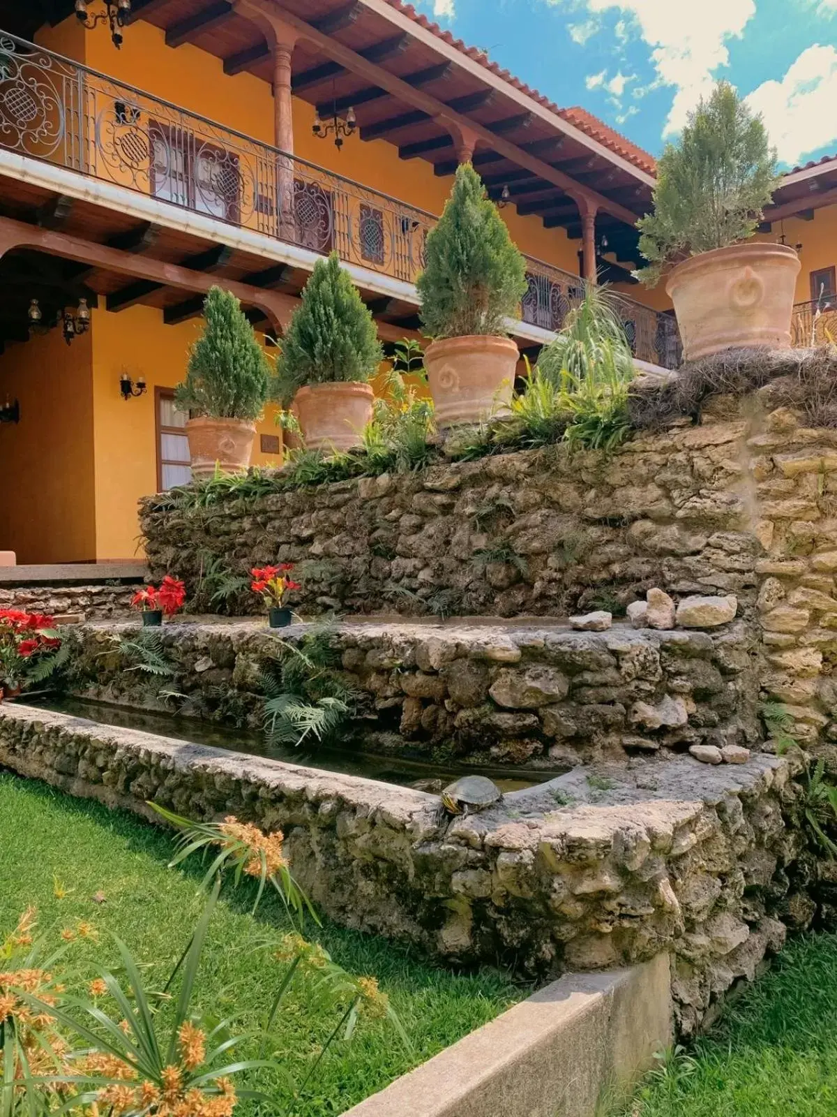 Garden, Property Building in Hotel Jardín de Tereza