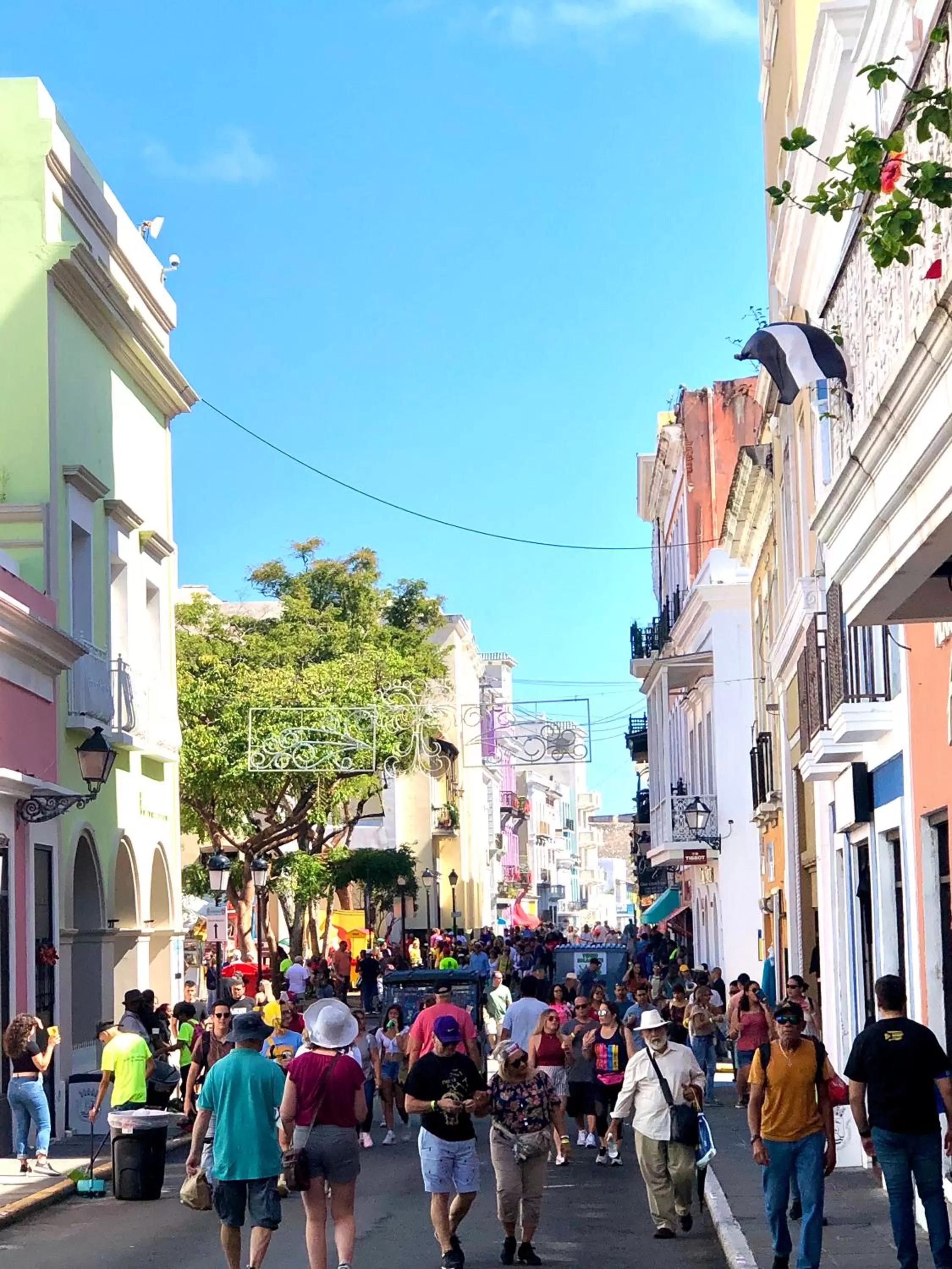 Neighbourhood in Navona Studios