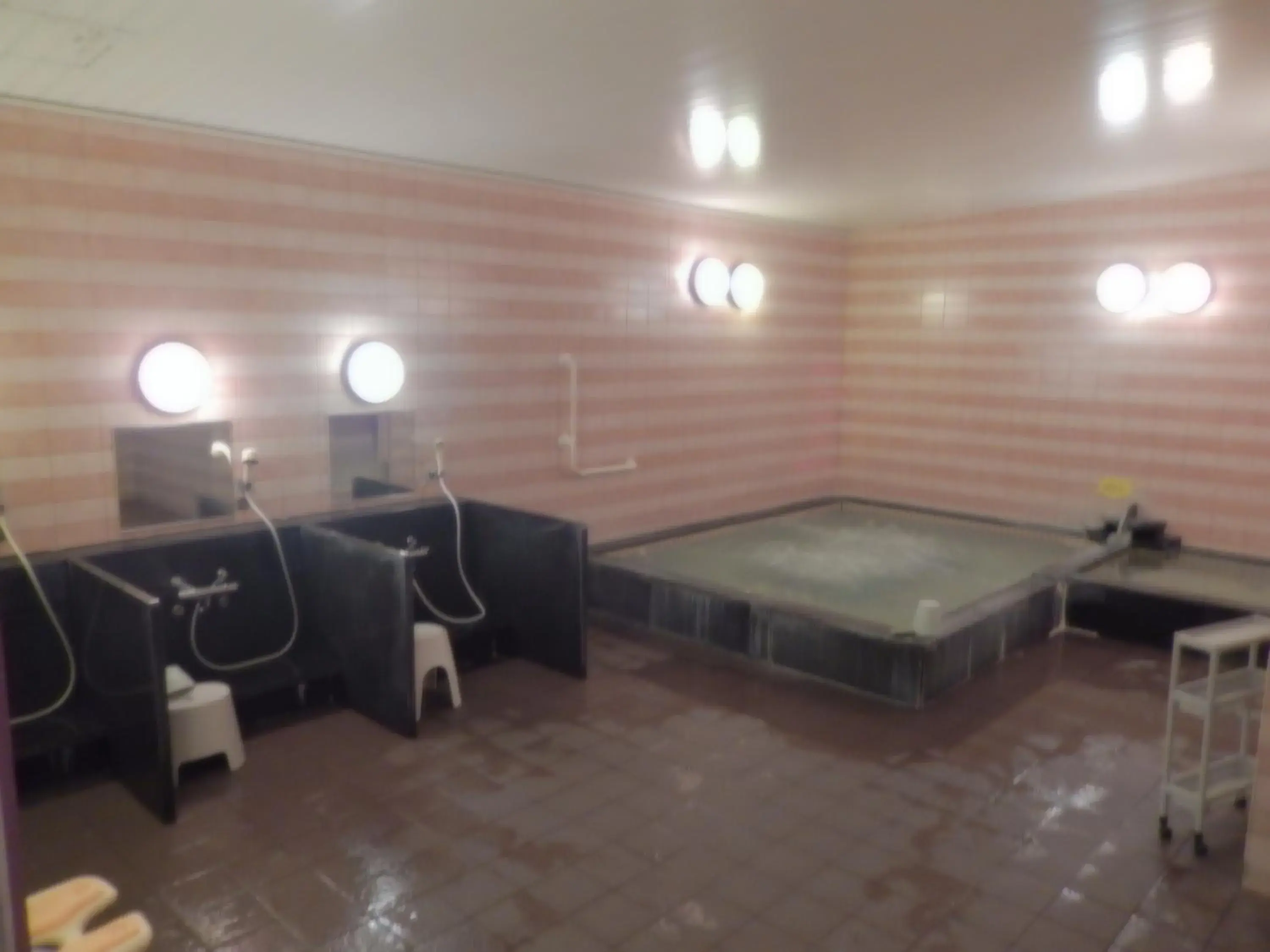 Swimming pool, Bathroom in Kobe Seishin Oriental Hotel